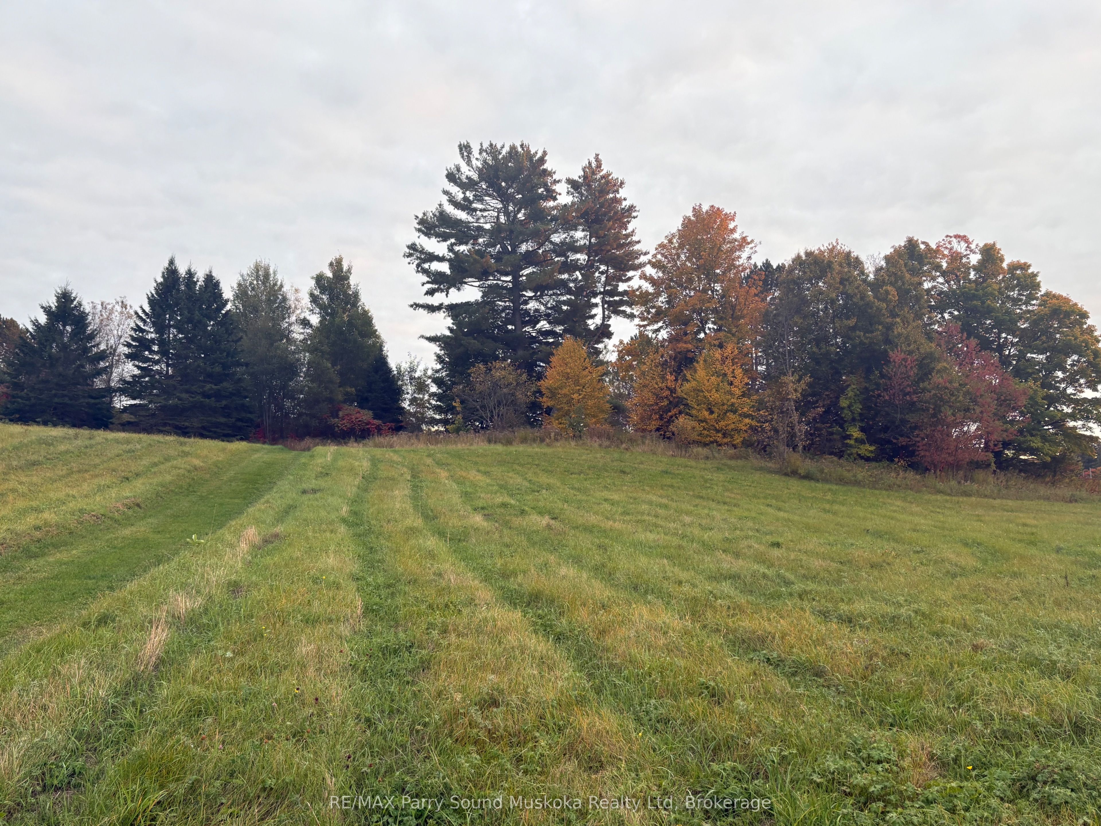 Lot 18 Concession 3 Street Property Photo 9