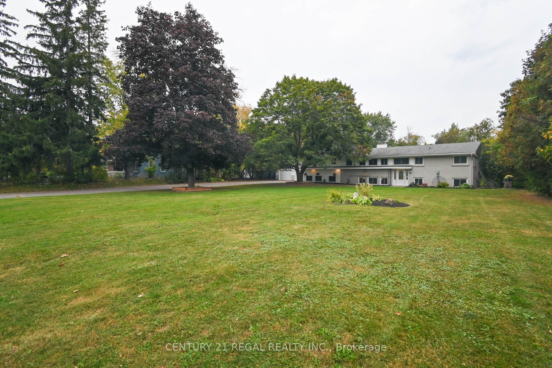 65 Cameron Street Property Photo 1