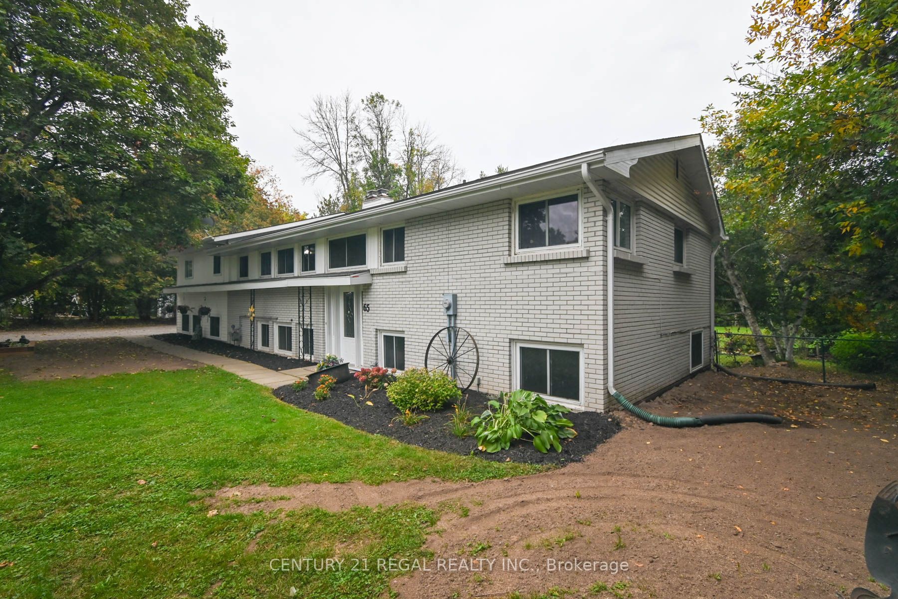 65 Cameron Street Property Photo 4