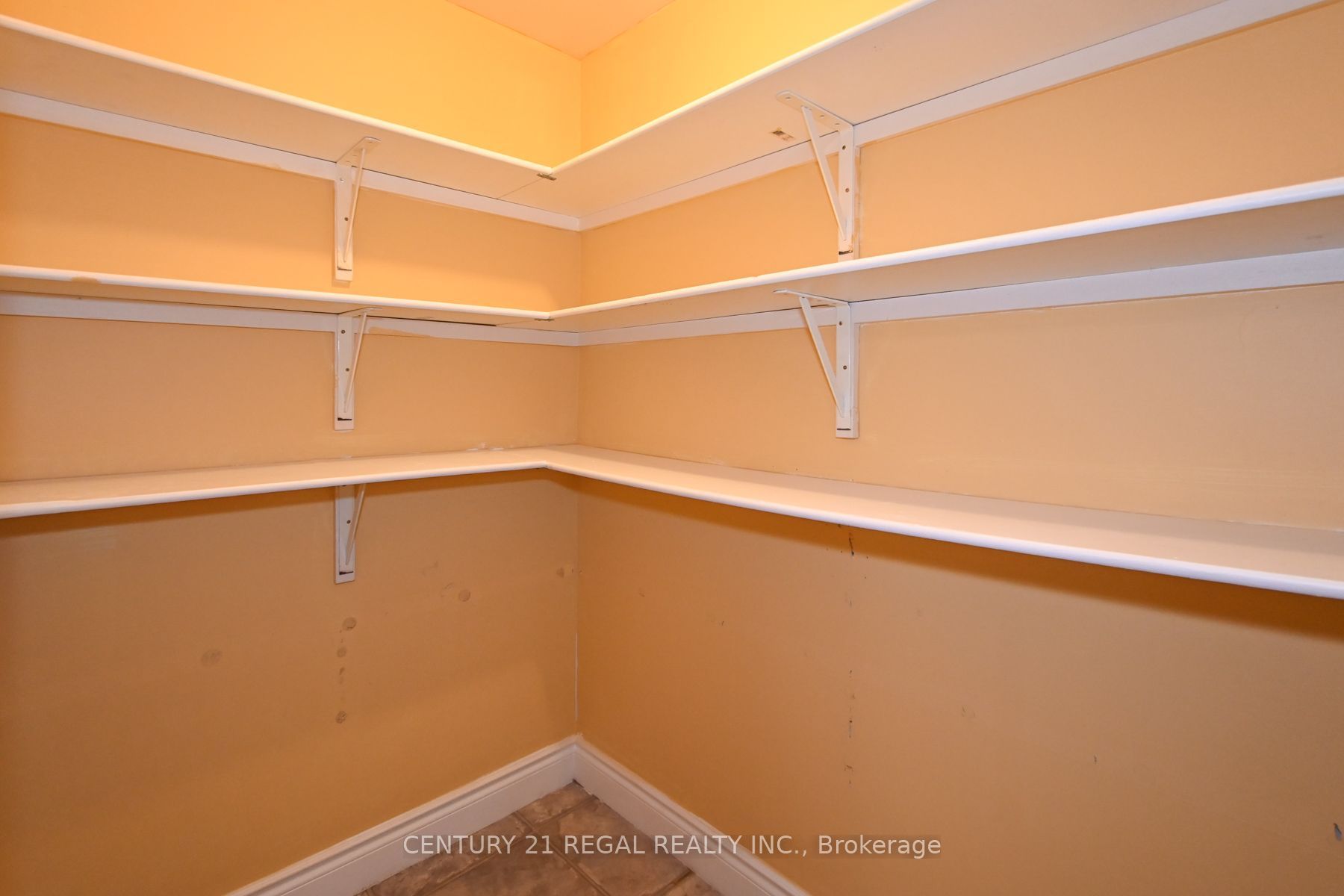 65 Cameron Street Property Photo 32