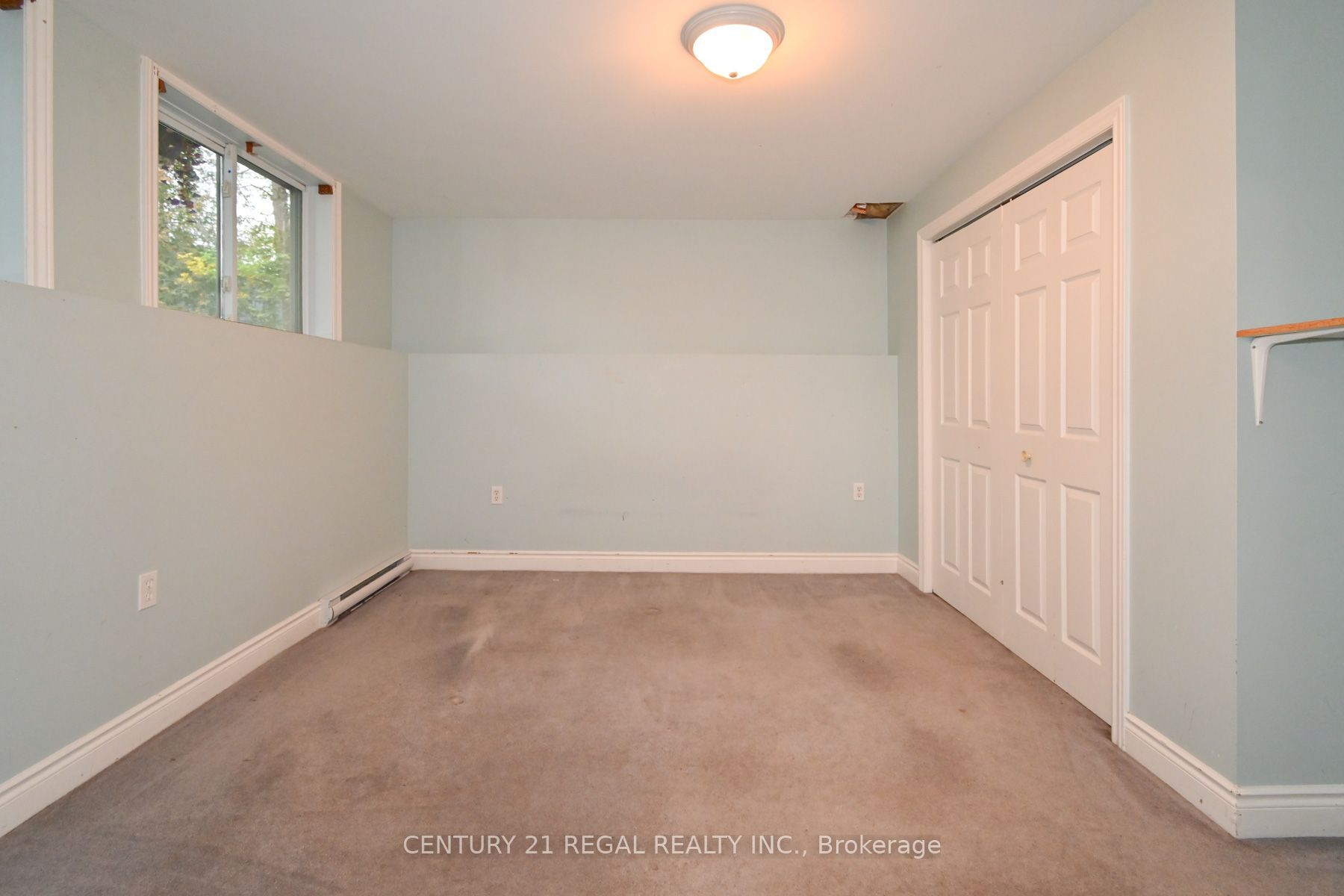 65 Cameron Street Property Photo 41