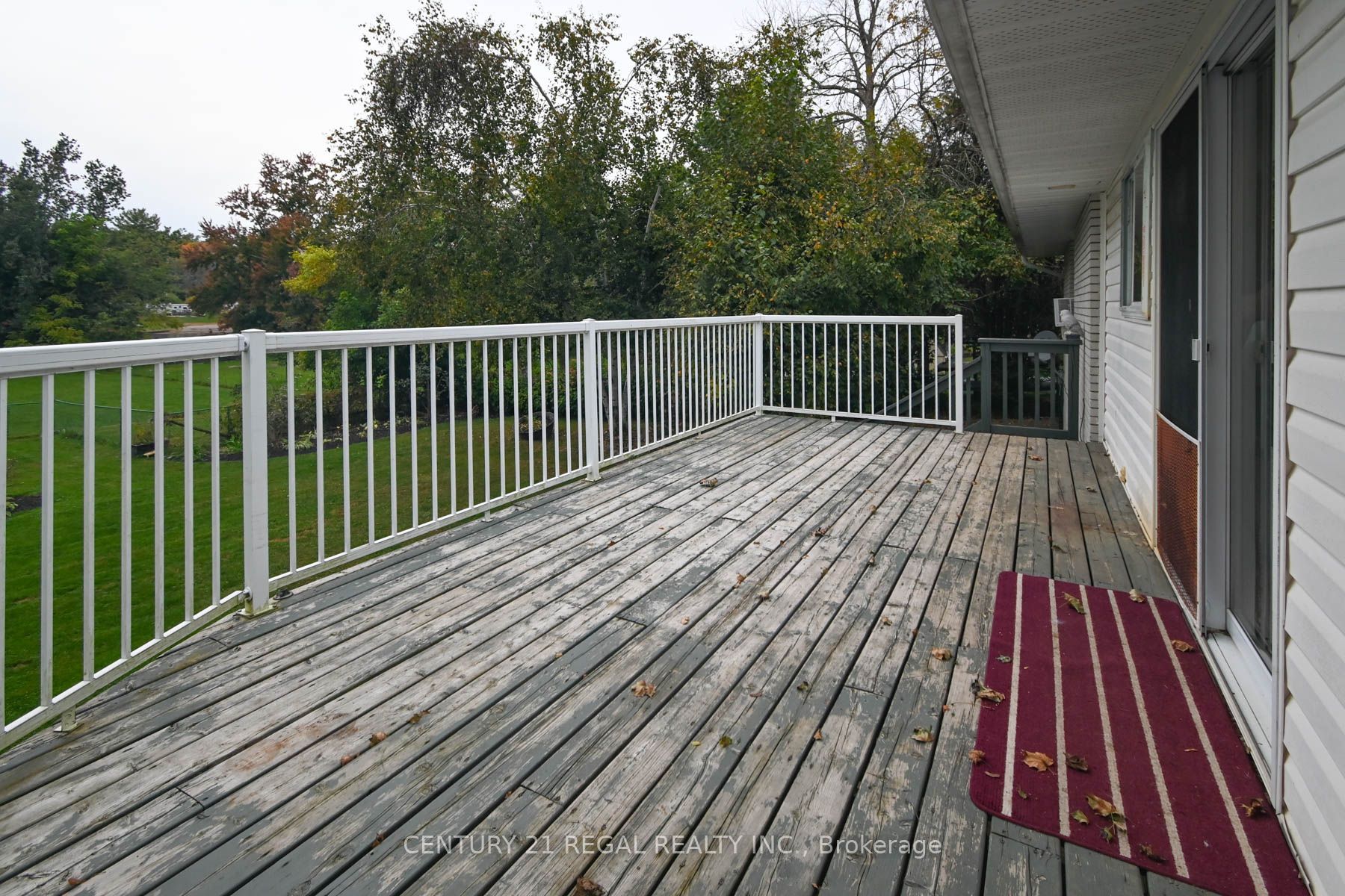 65 Cameron Street Property Photo 45