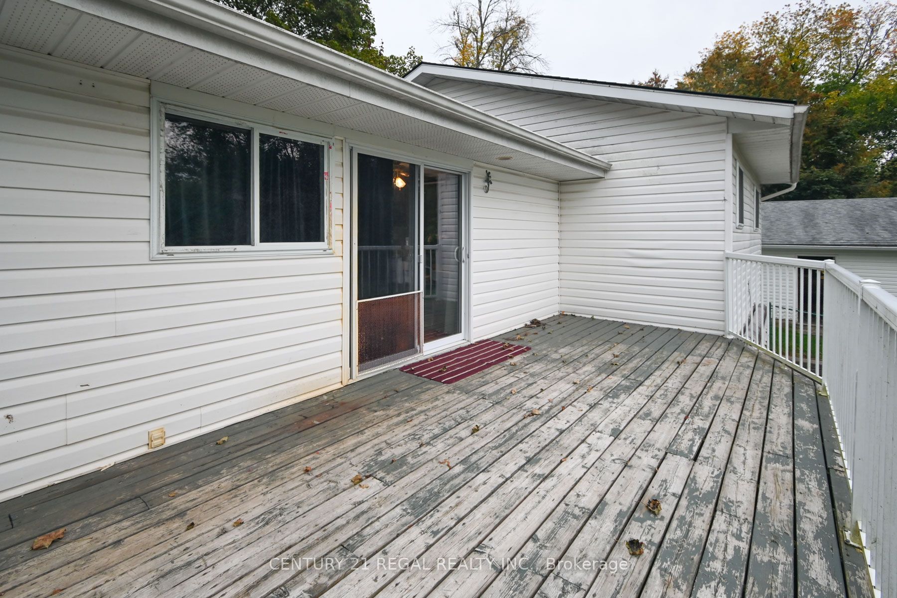 65 Cameron Street Property Photo 46