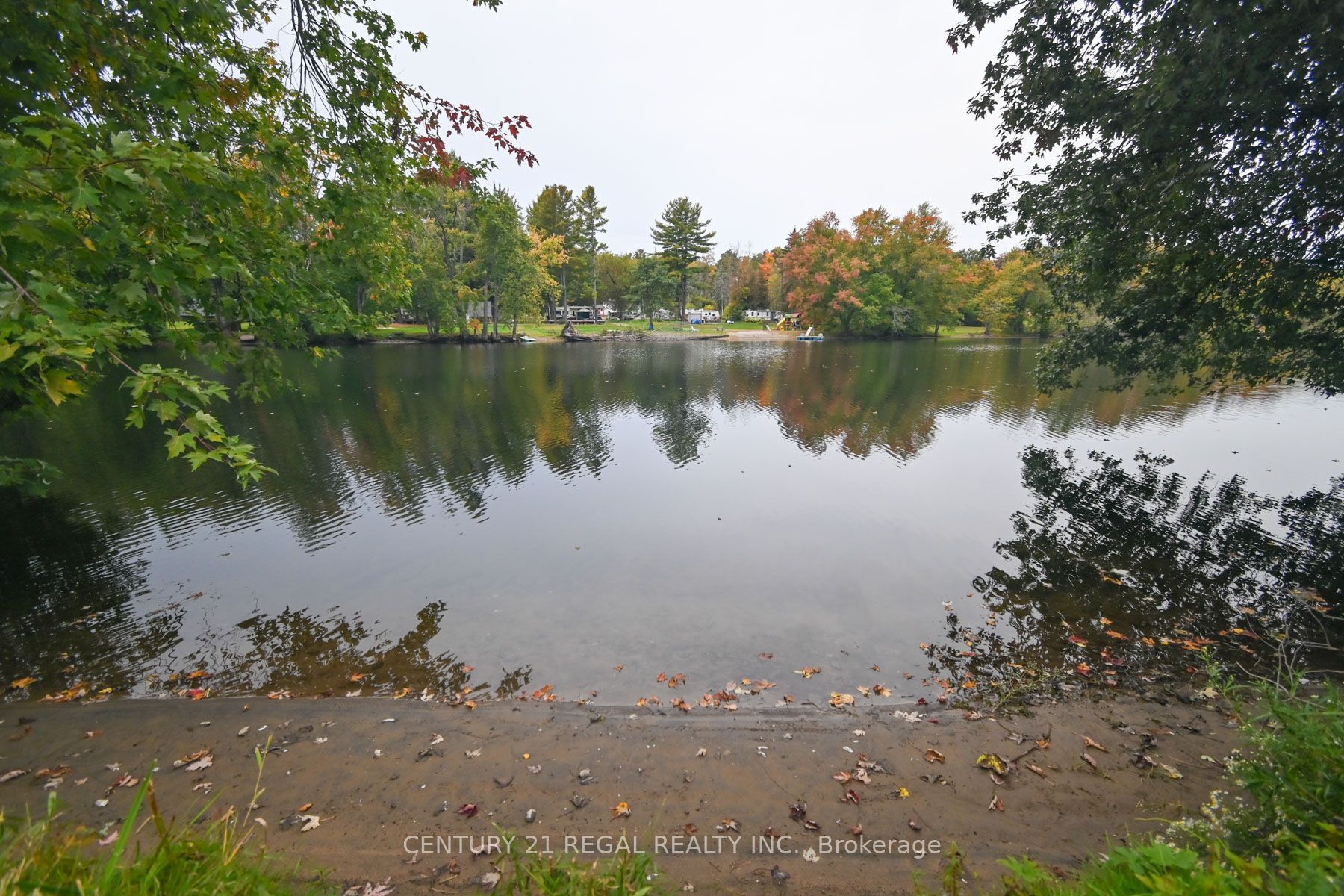 65 Cameron Street Property Photo 50