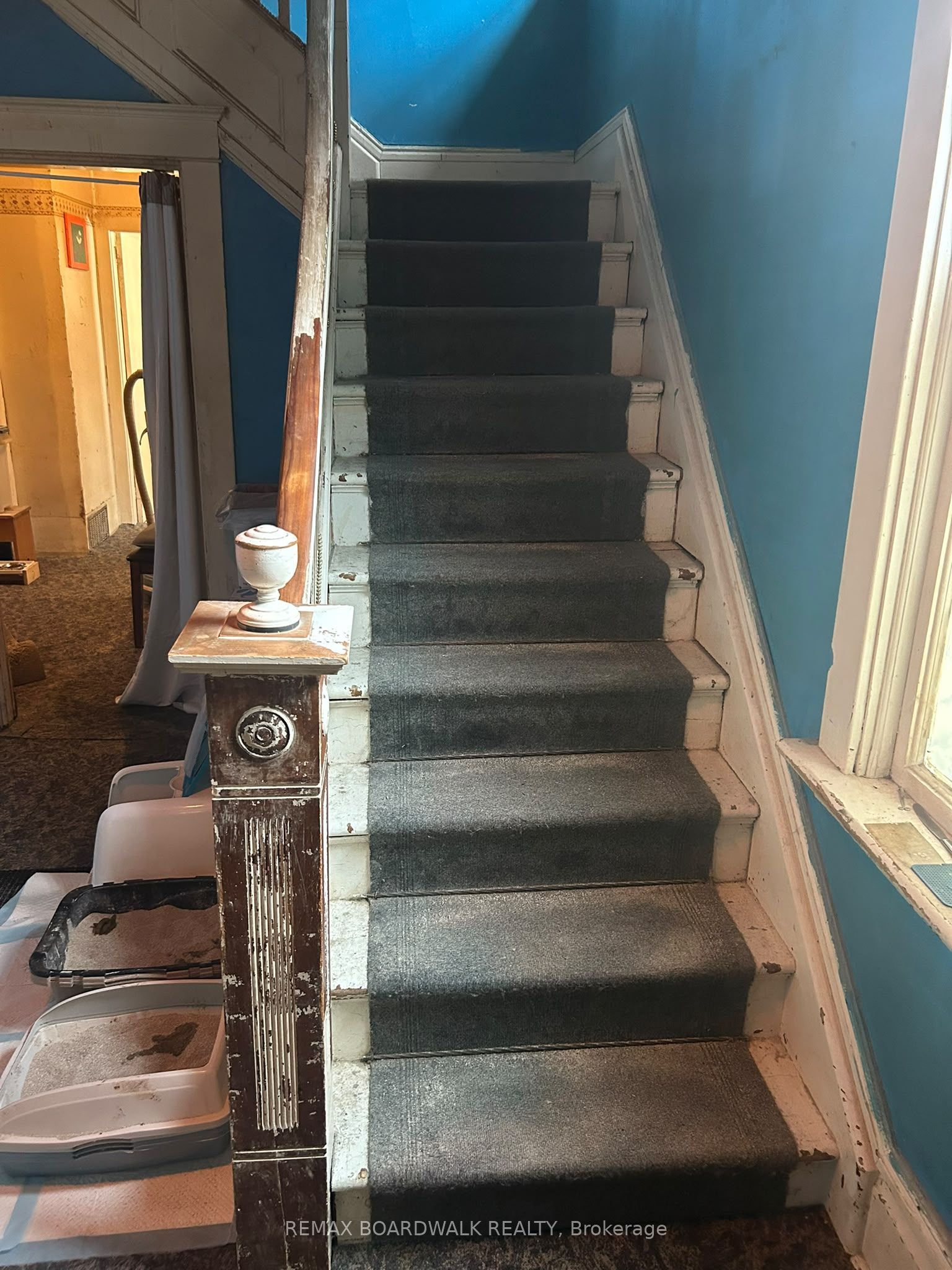 51 Albert Street Property Photo 6