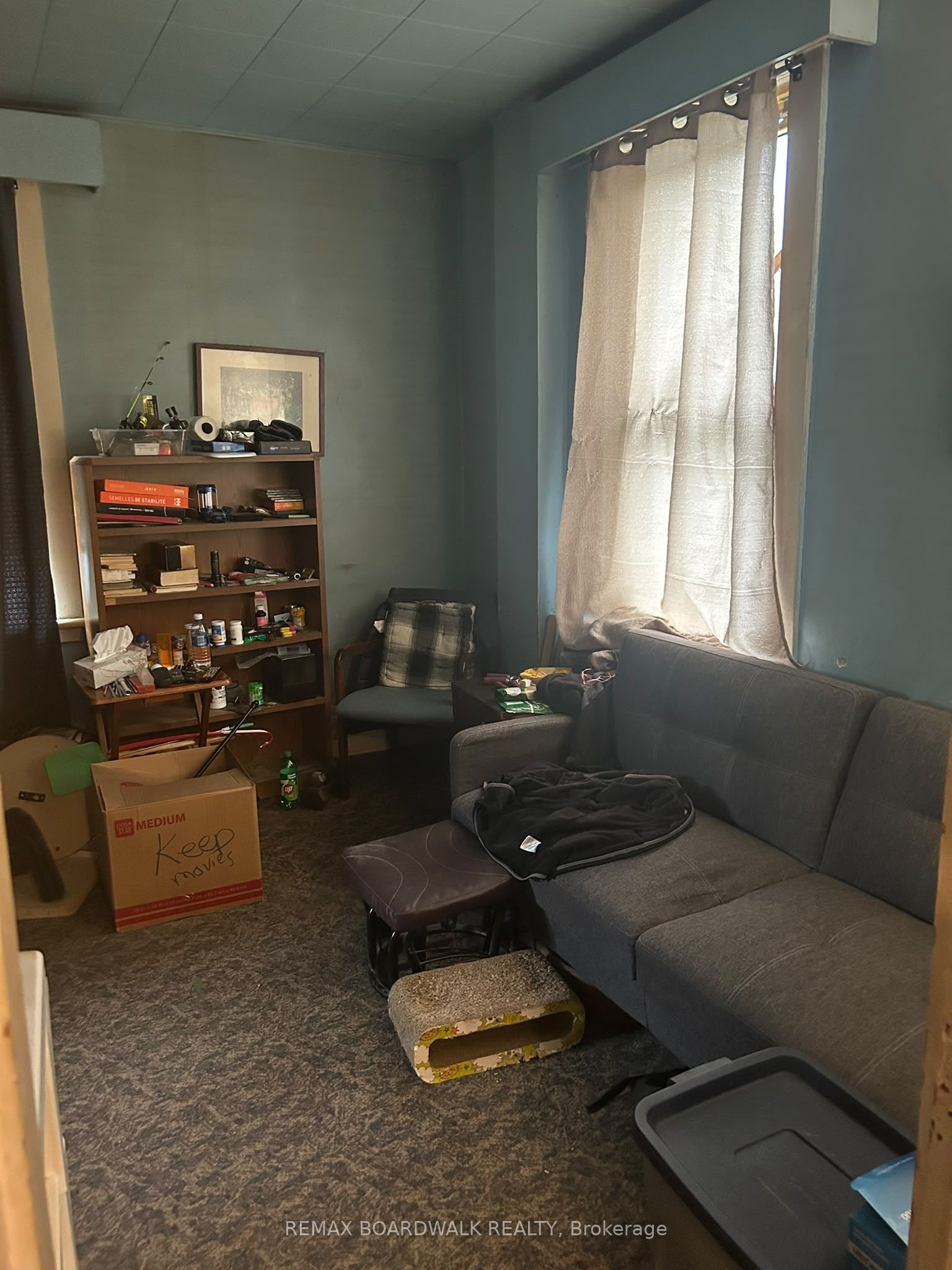 51 Albert Street Property Photo 7