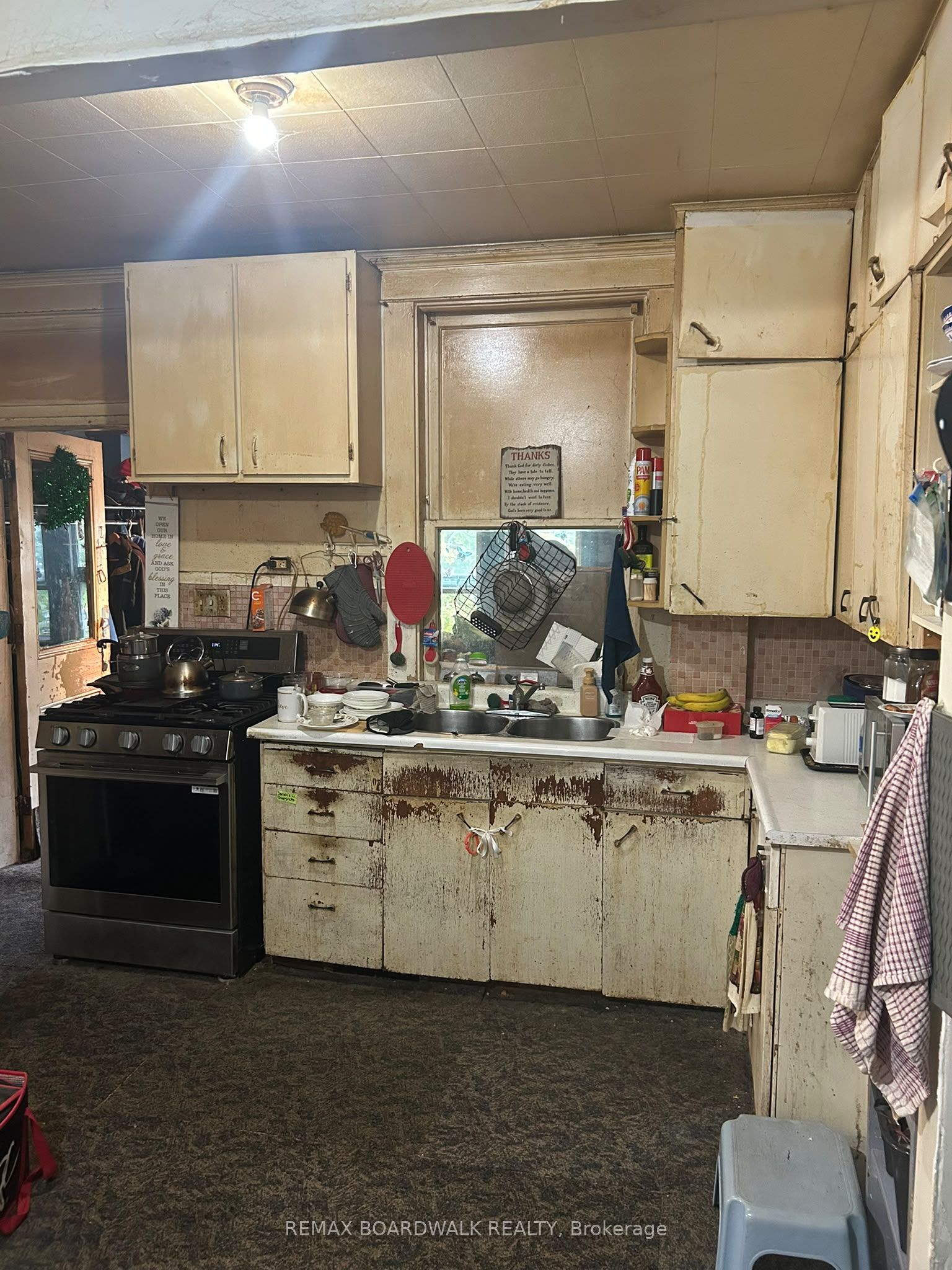 51 Albert Street Property Photo 11