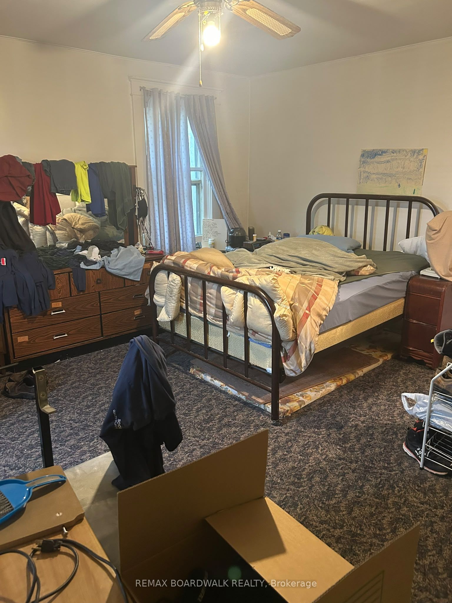 51 Albert Street Property Photo 15