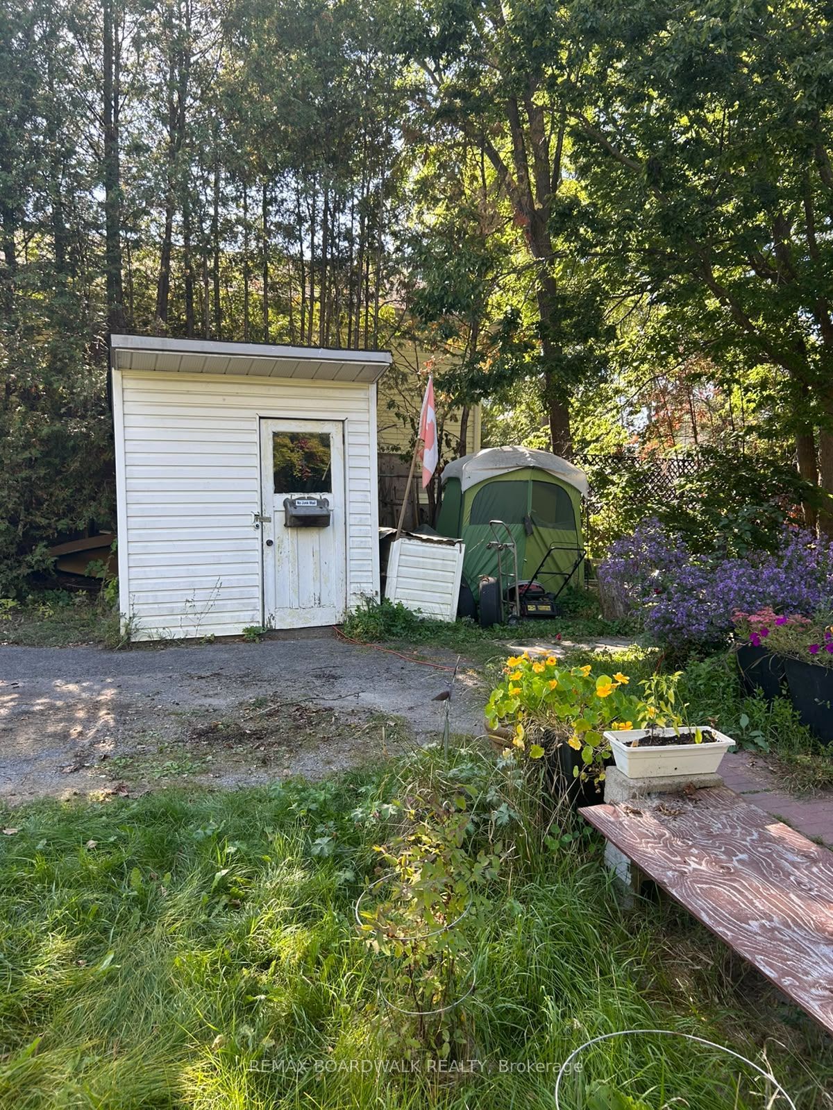 51 Albert Street Property Photo 23