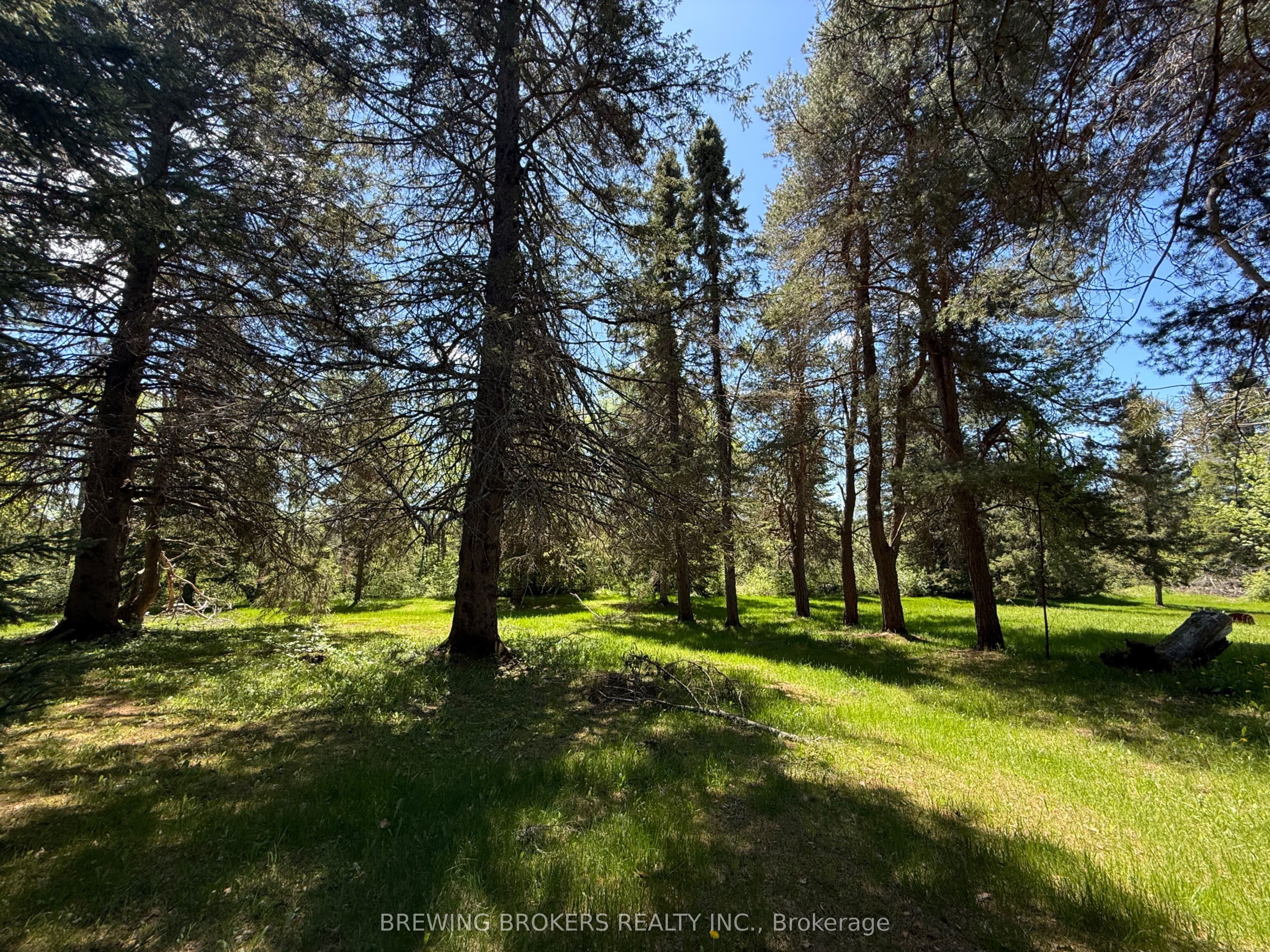 3225 Highway 518 W. Highway W Property Photo 12