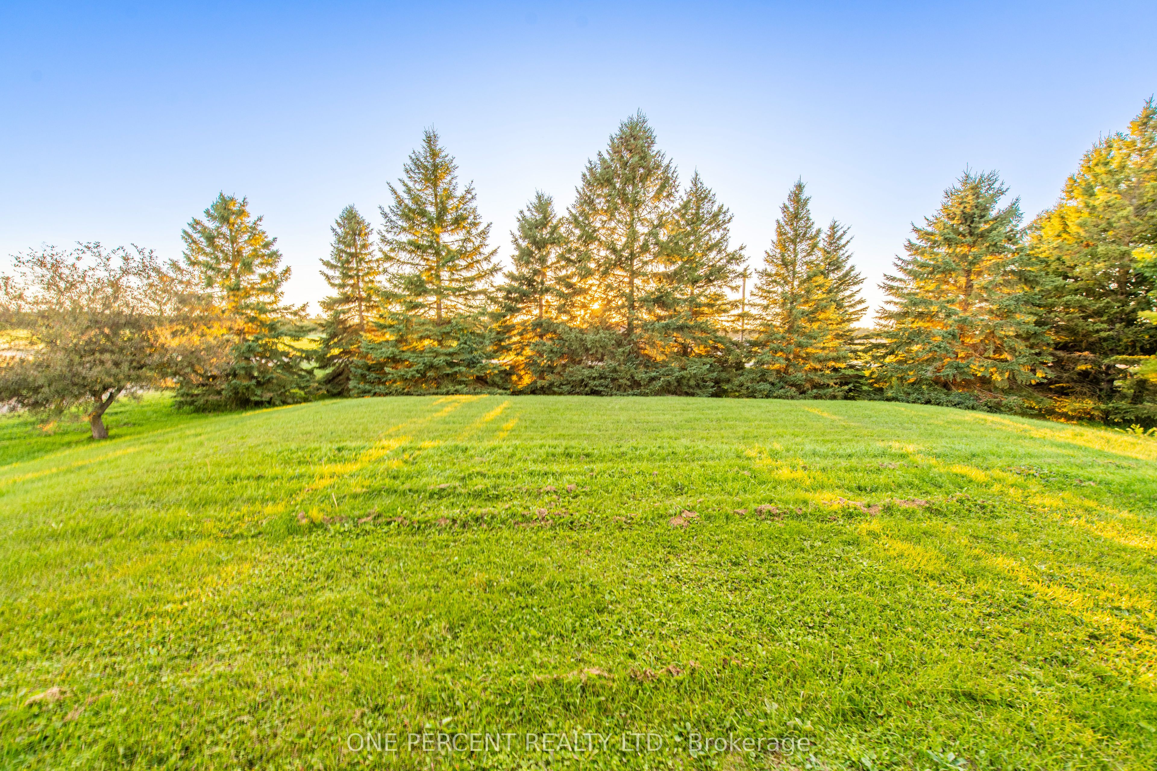 294235 8th Line Property Photo 37