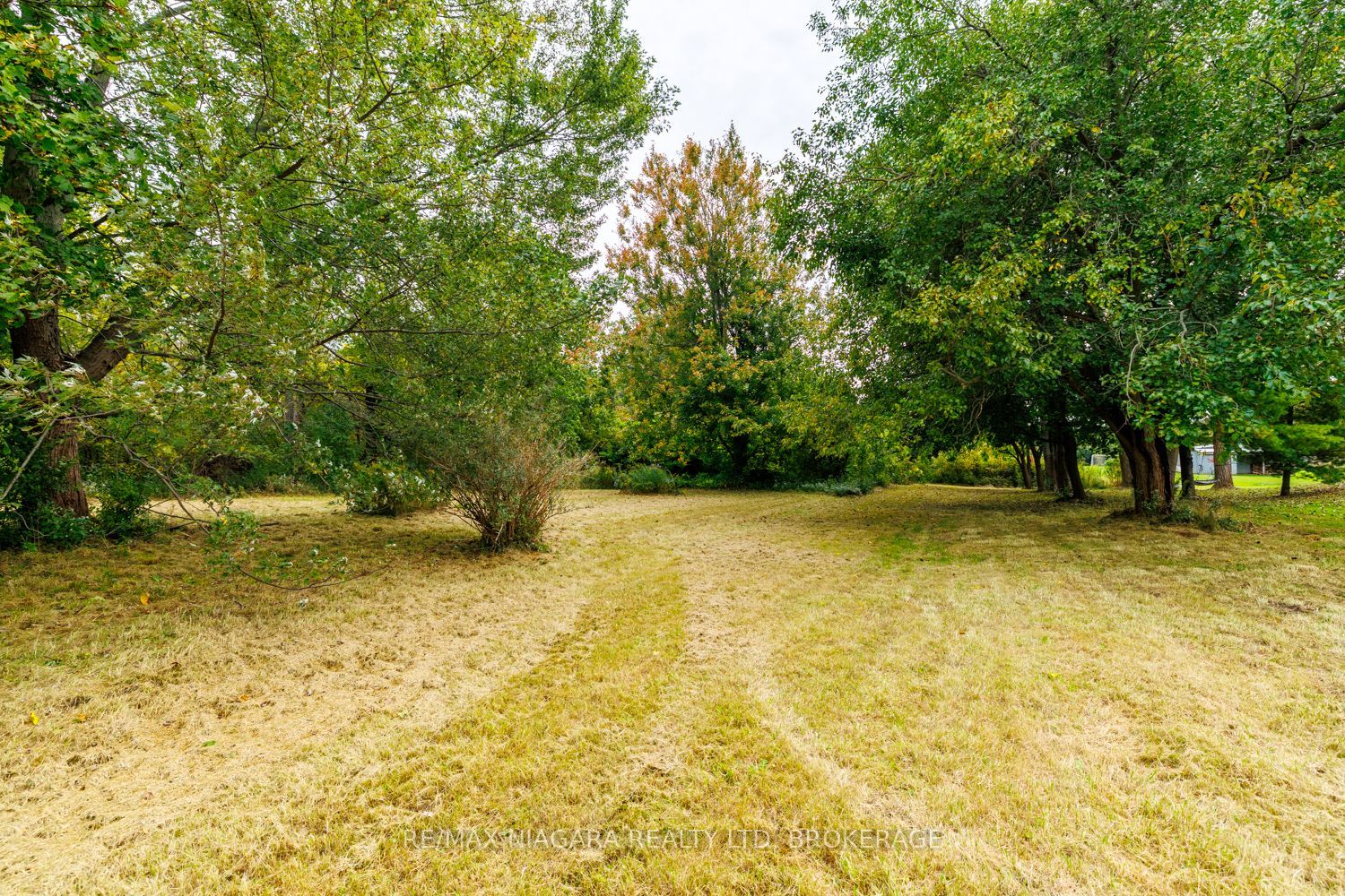 567 Lyons Creek Road Property Photo 8