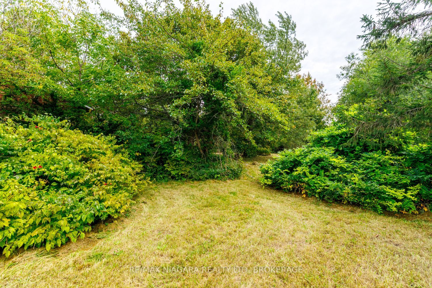 567 Lyons Creek Road Property Photo 9