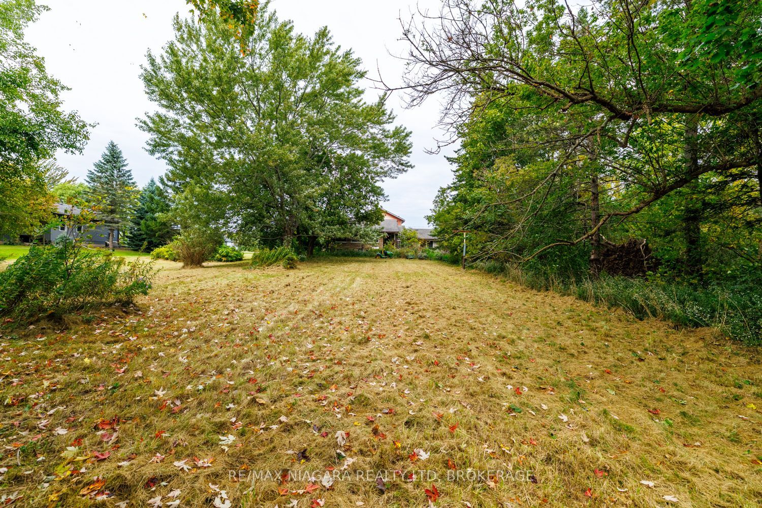567 Lyons Creek Road Property Photo 11