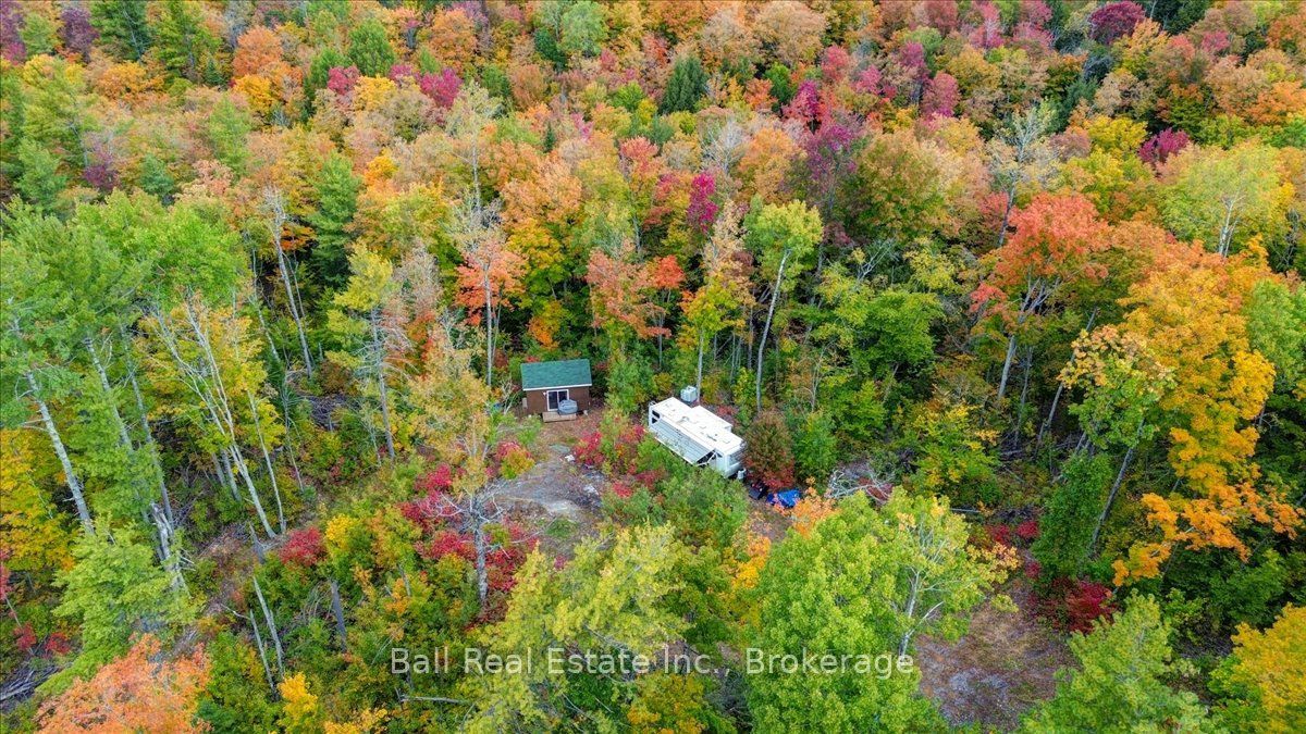 4249 Old Hastings Road Property Photo 15