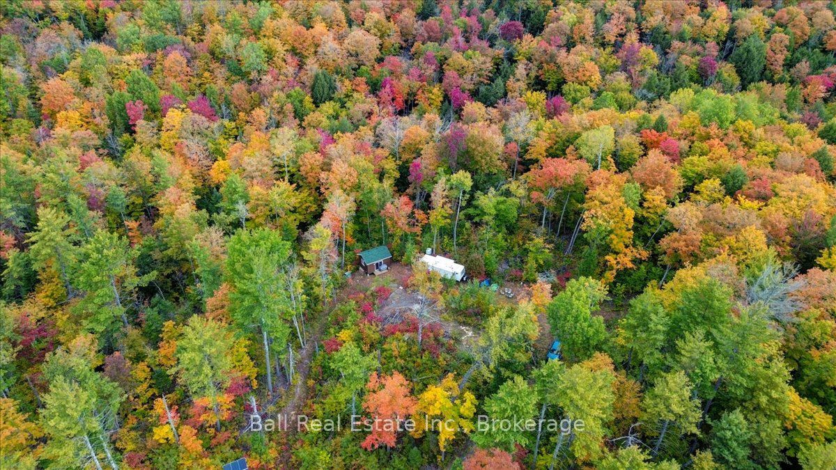 4249 Old Hastings Road Property Photo 16