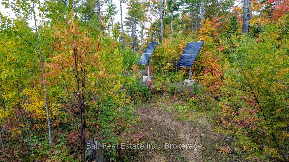 4249 Old Hastings Road Property Photo 21