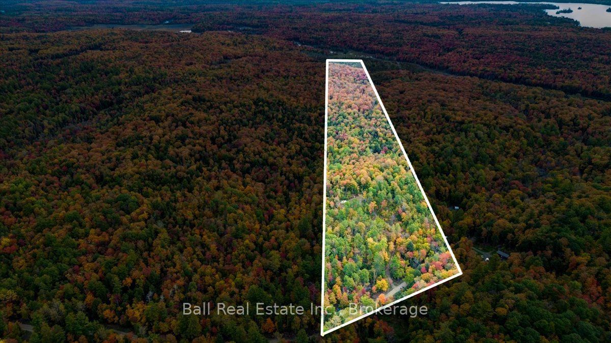 4249 Old Hastings Road Property Photo 28