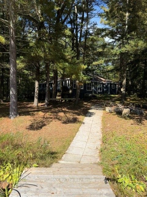 10158 Georgian Bay Shore Property Photo 6