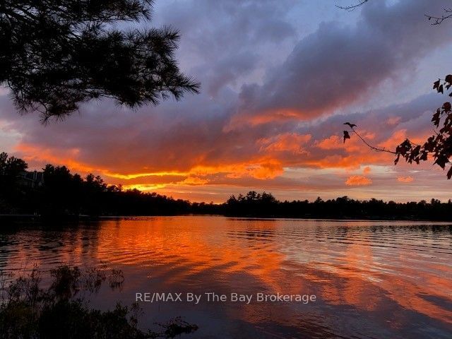 10158 Georgian Bay Shore Property Photo 27