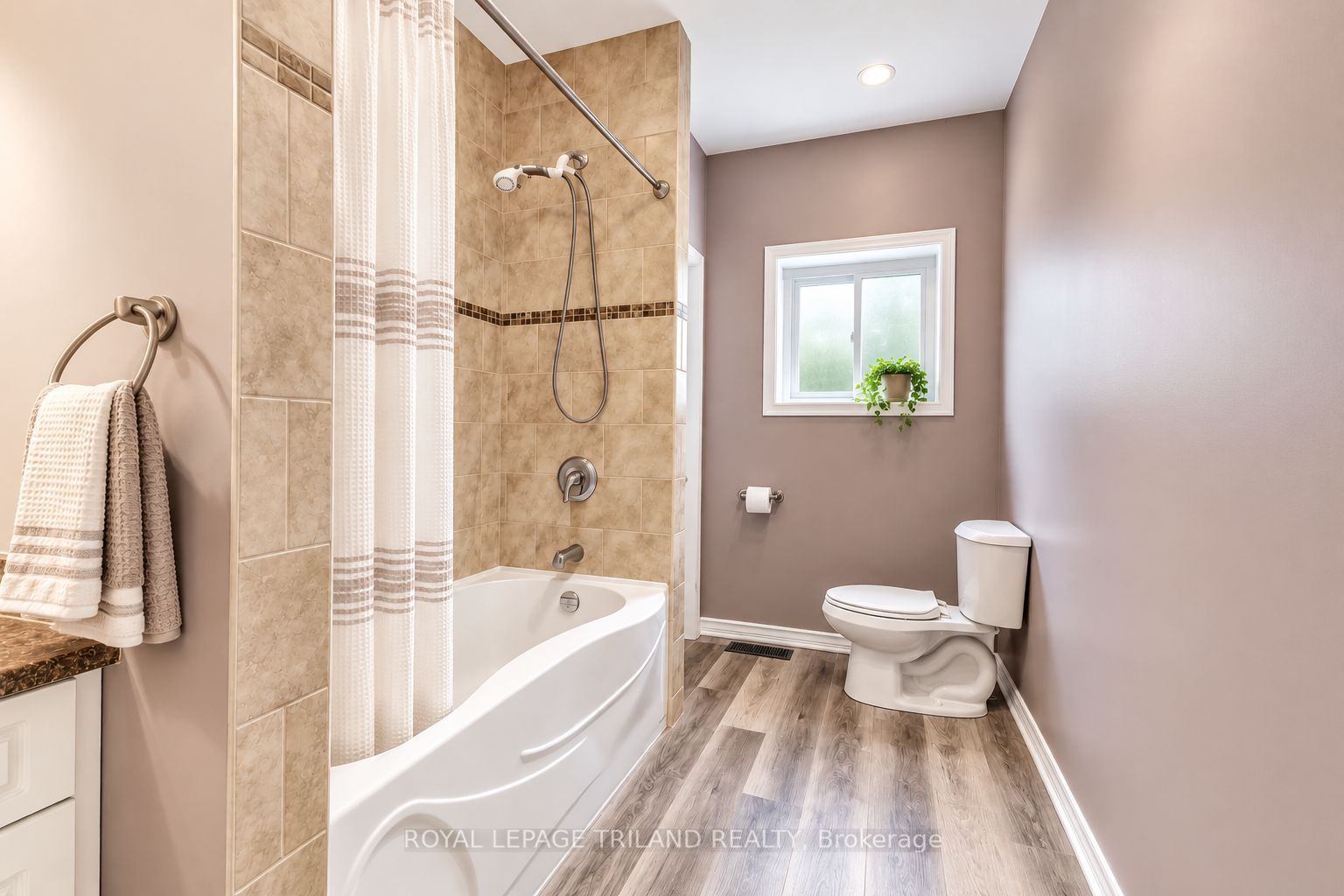 4 Mary Street Property Photo 10