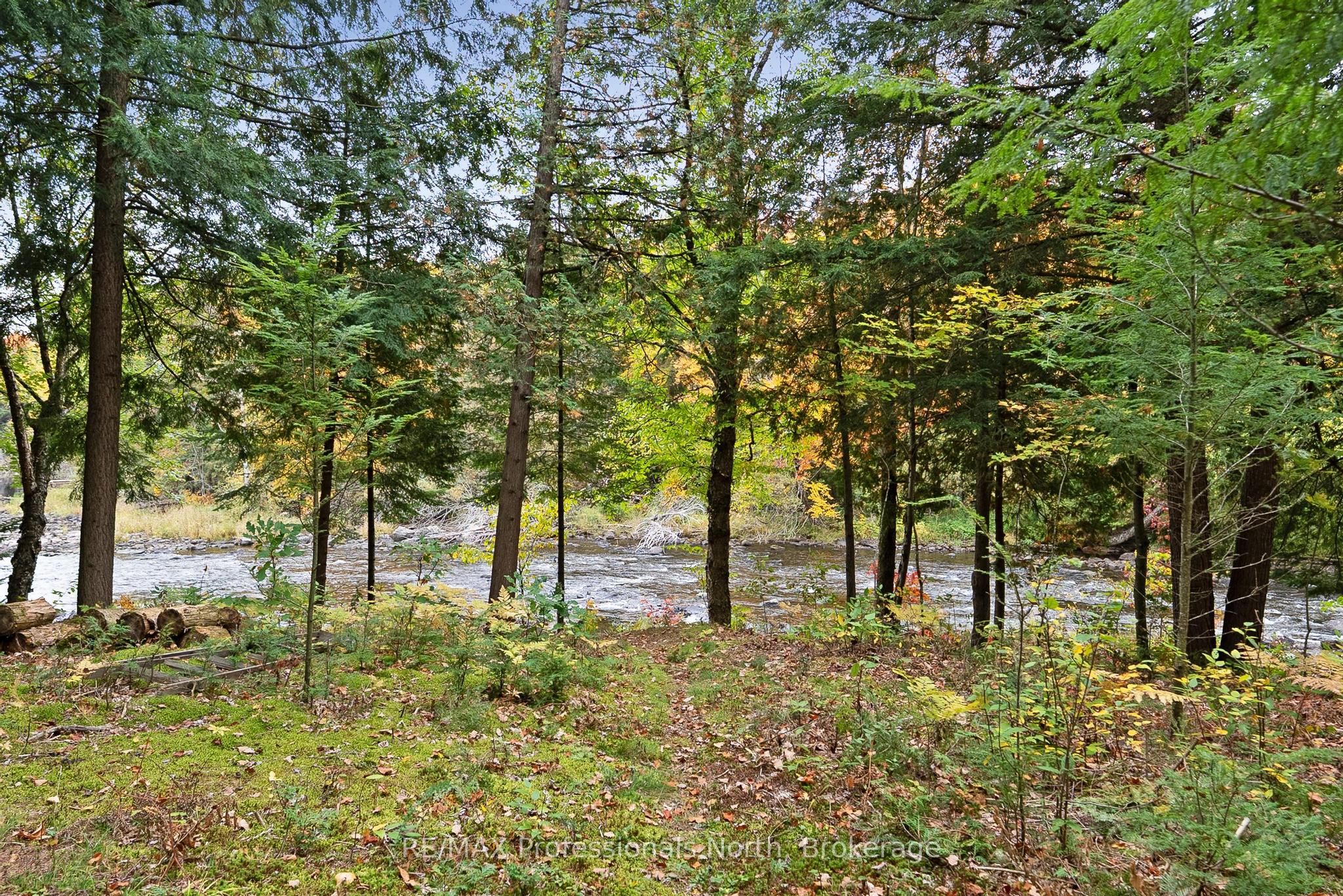 1086 Dragonfly Lane Property Photo 46