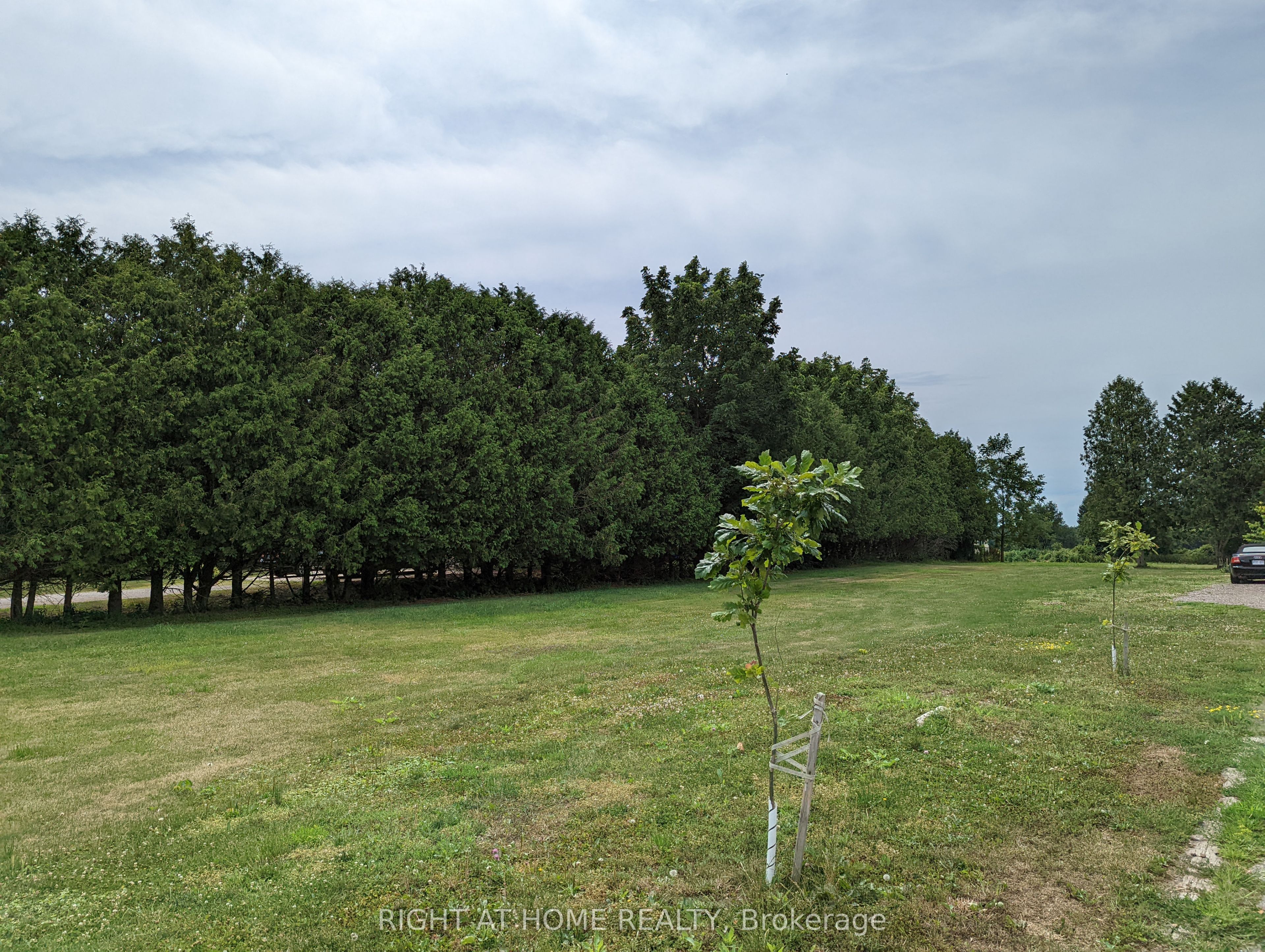 392 Second Street Property Photo 5