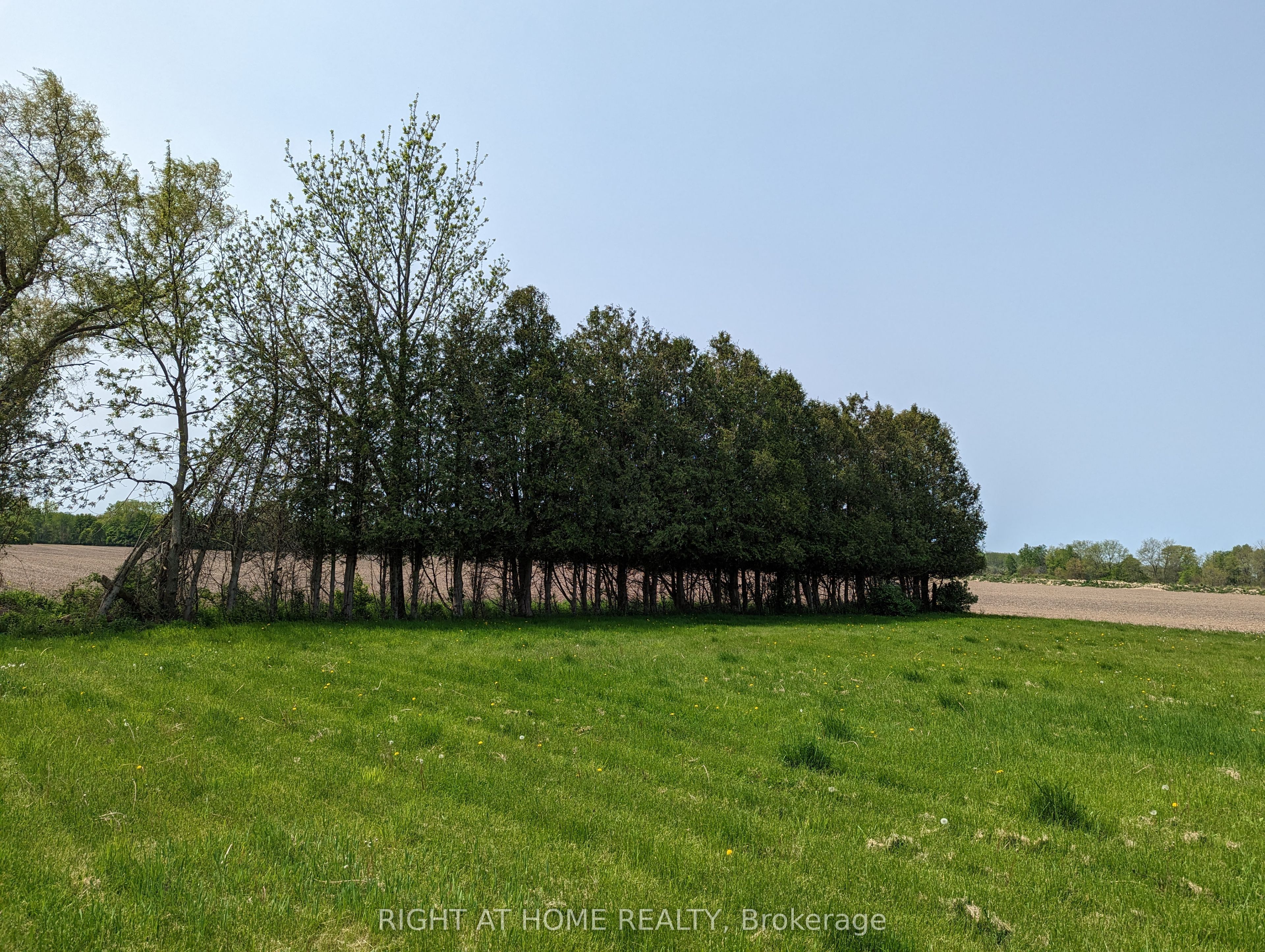392 Second Street Property Photo 7