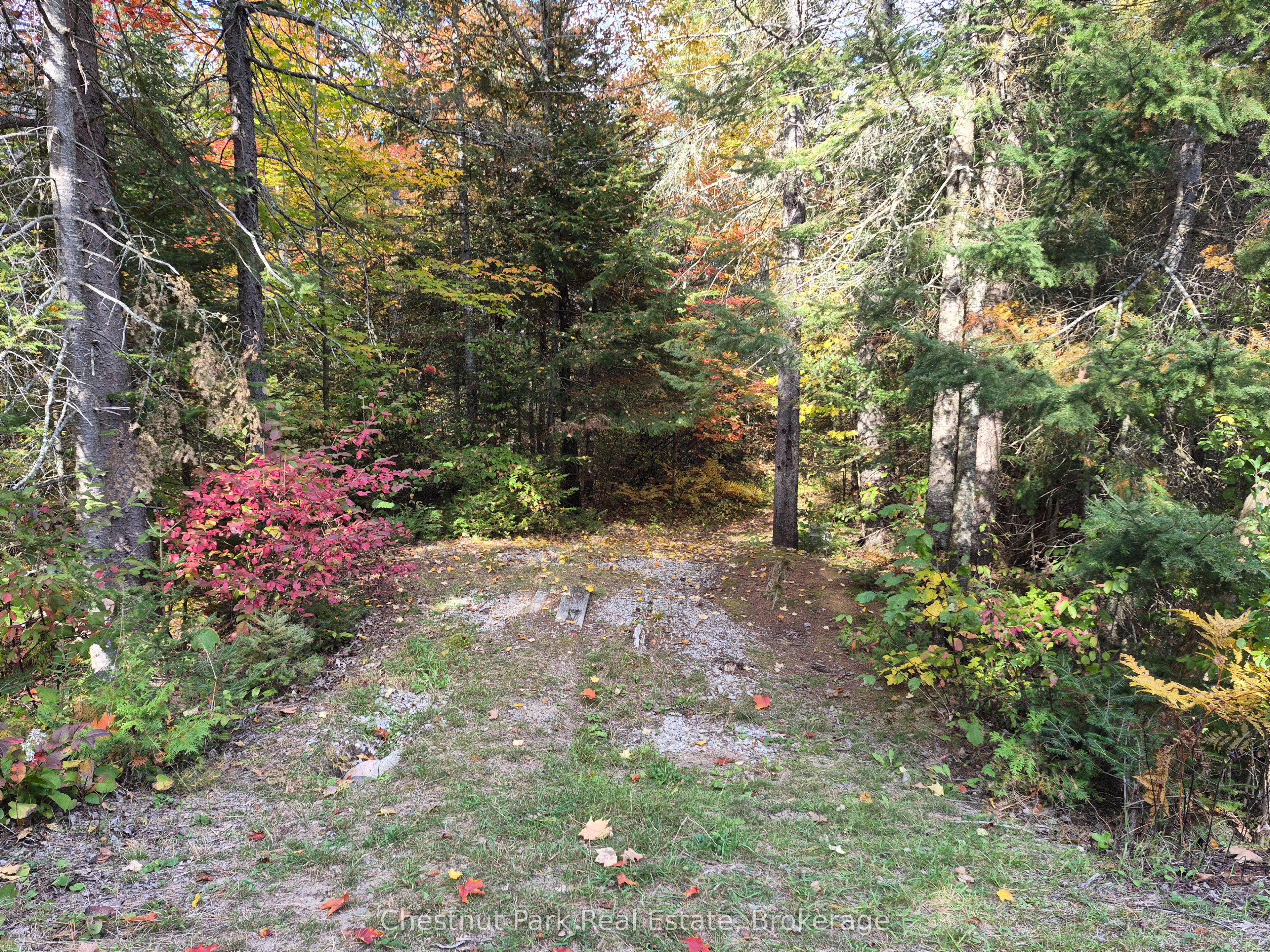 0 Rock Lake Road Property Photo 30