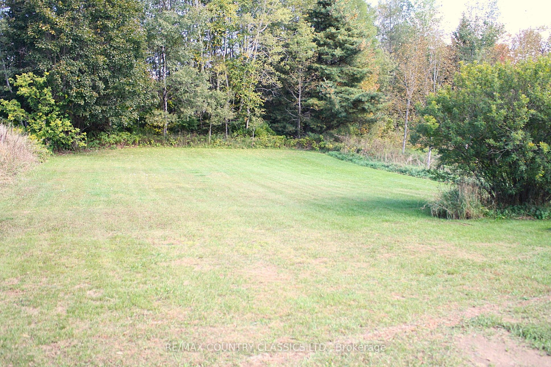 79 Wollaston Lk Road Property Photo 15