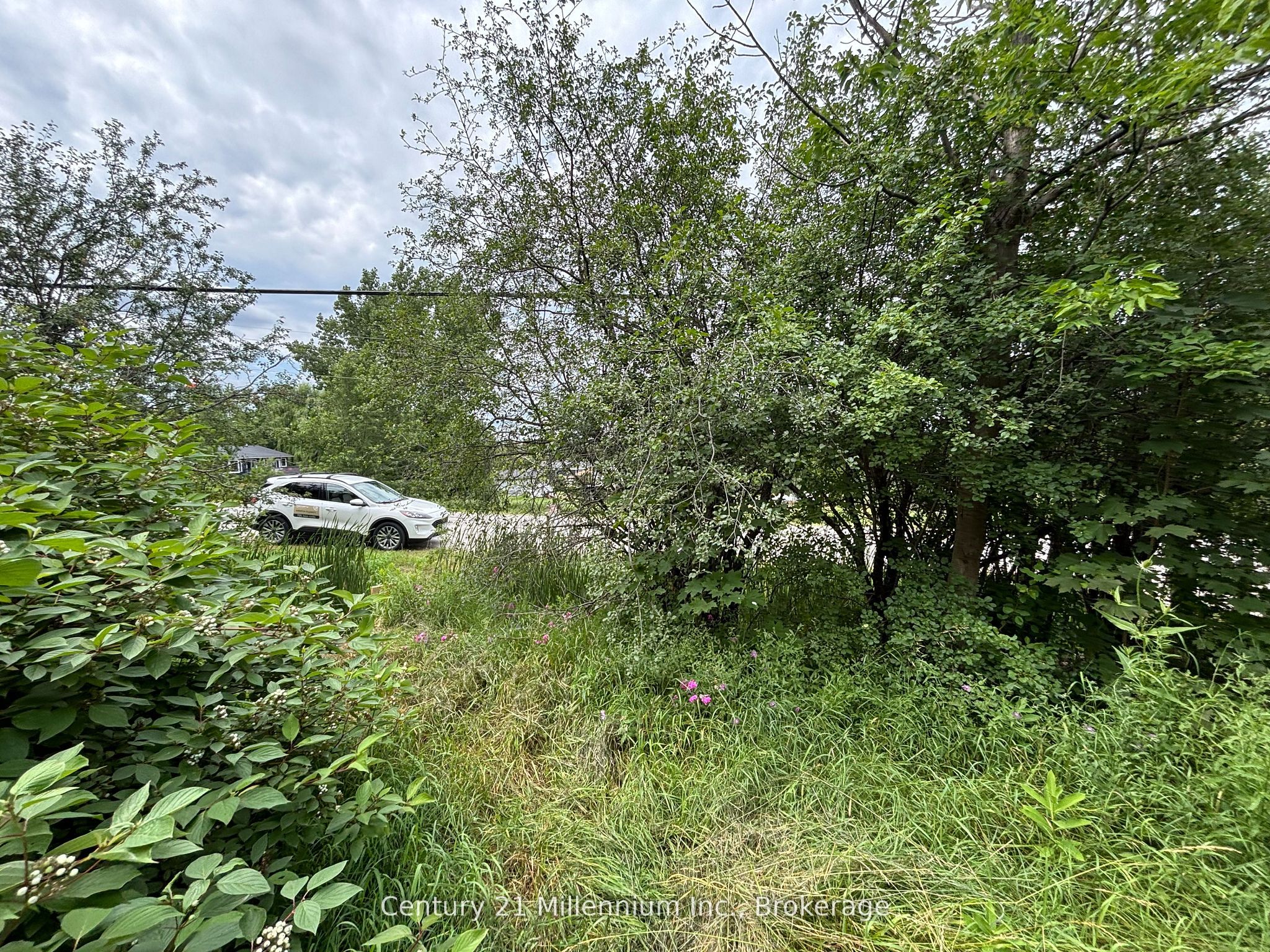 Pt Lt 10 3rd Line Property Photo 22