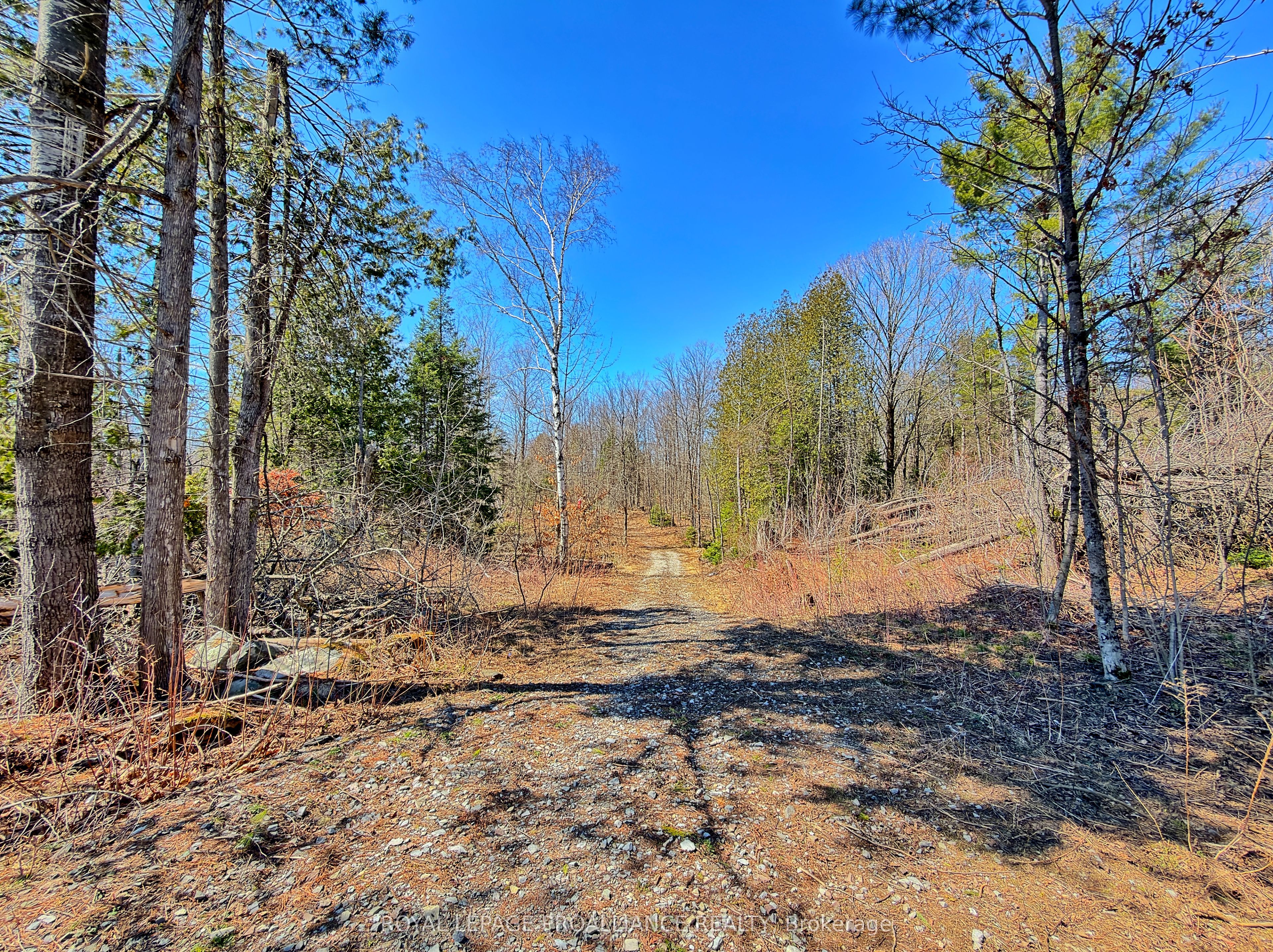 812 Cleveland Road Property Photo 28