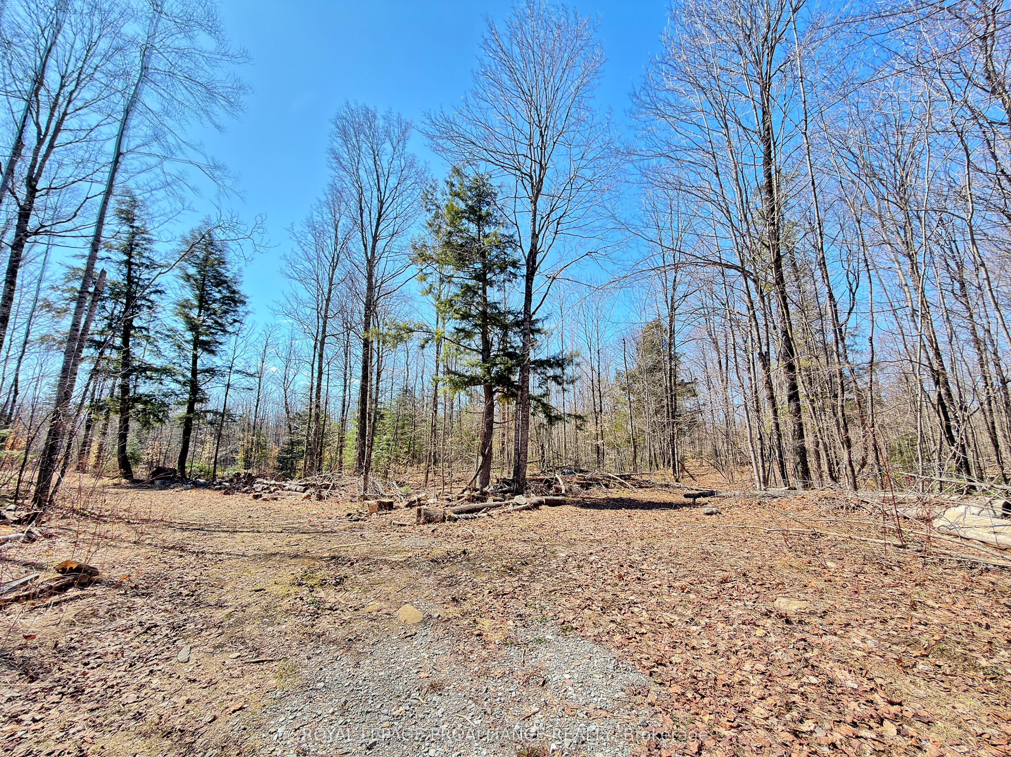 812 Cleveland Road Property Photo 29
