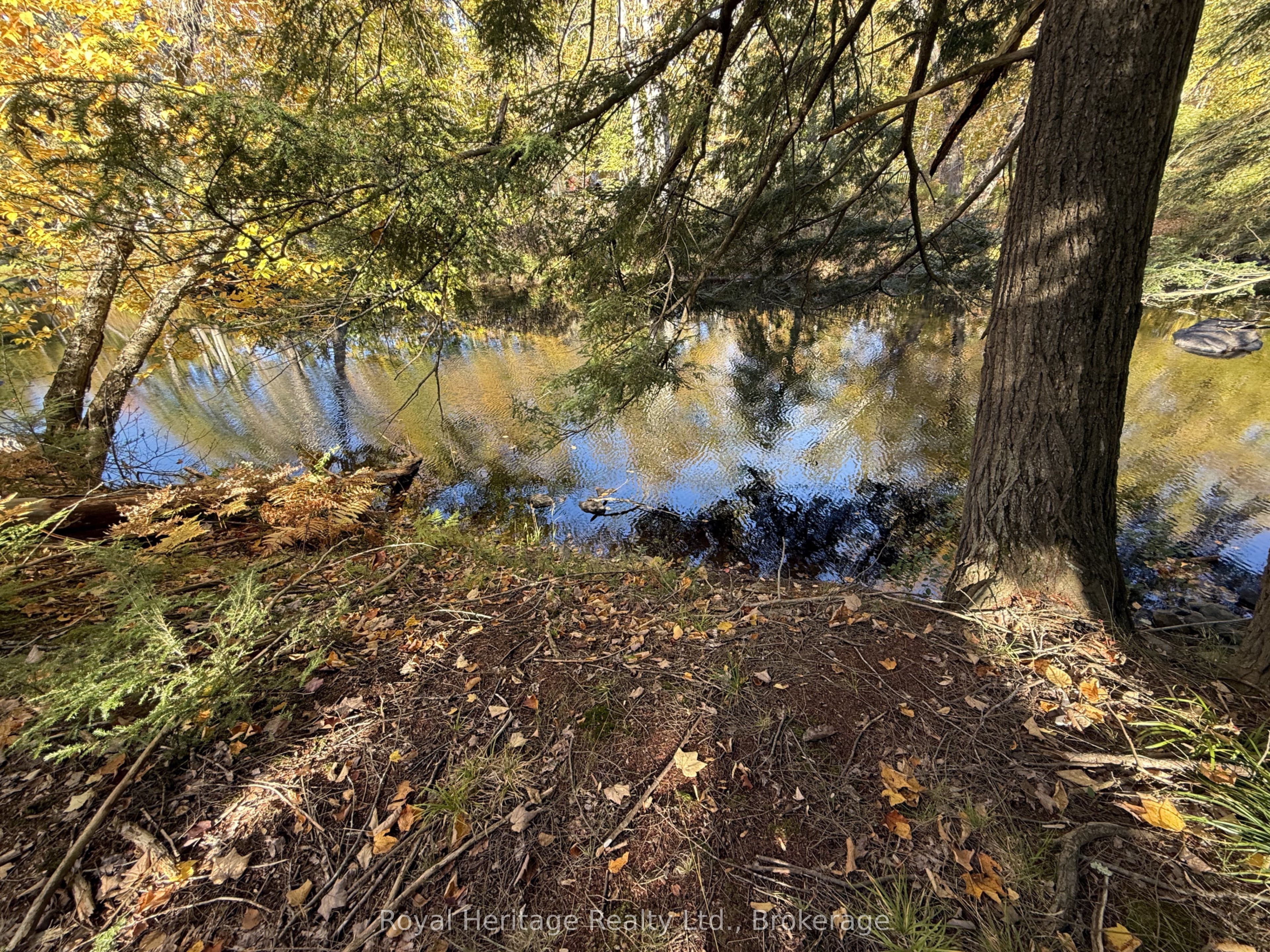 7 Fire Route 92 Route Property Photo 6