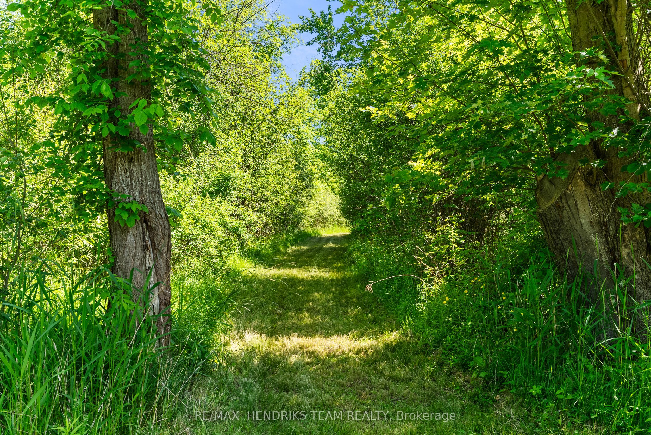 5045 Michener Road Property Photo 45