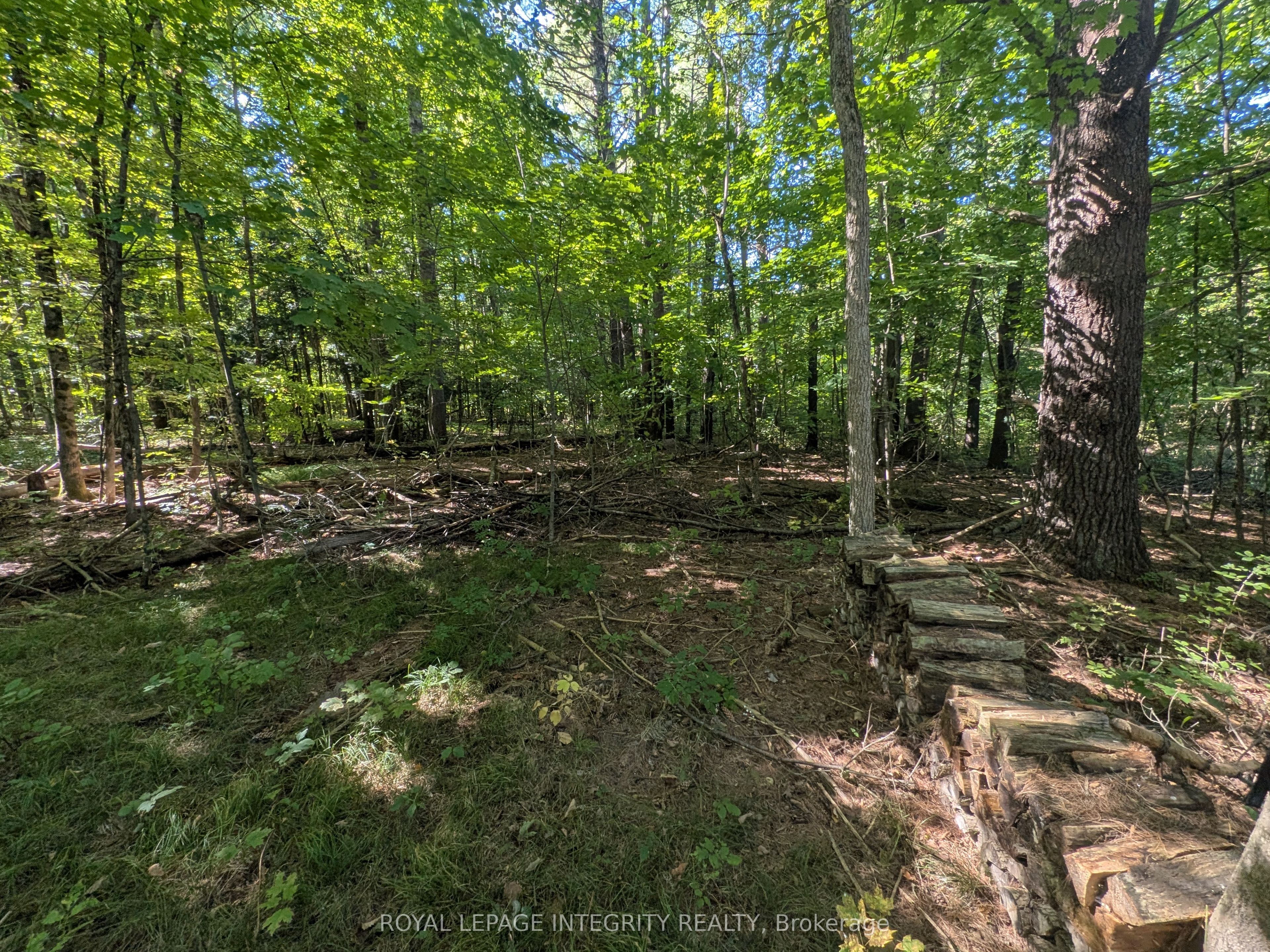 229 Norris Road Property Photo 7