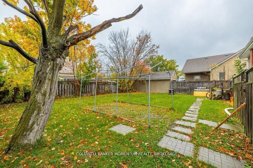 44 Rykert Street Property Photo 17