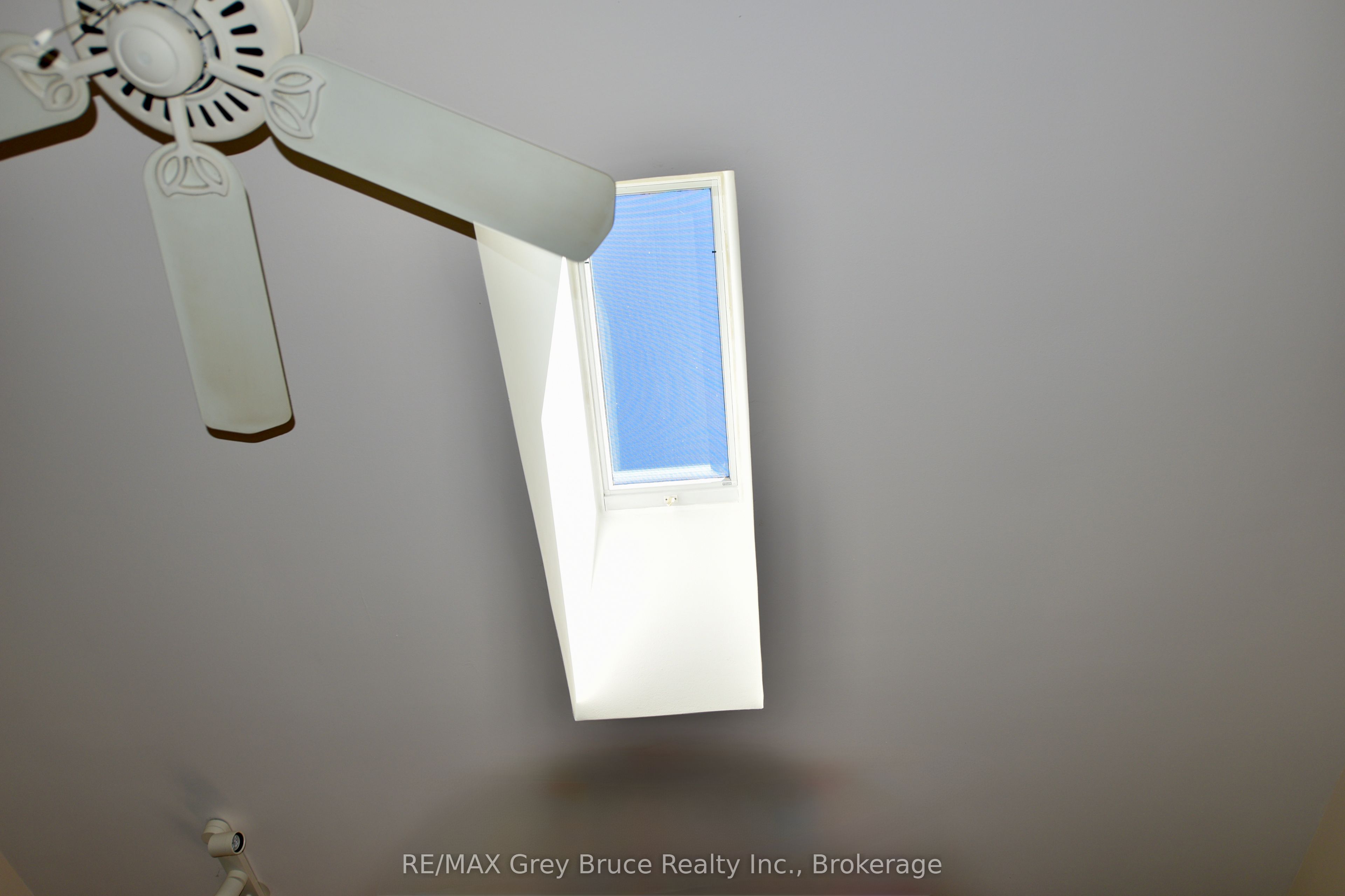 54 Carter Road Property Photo 30