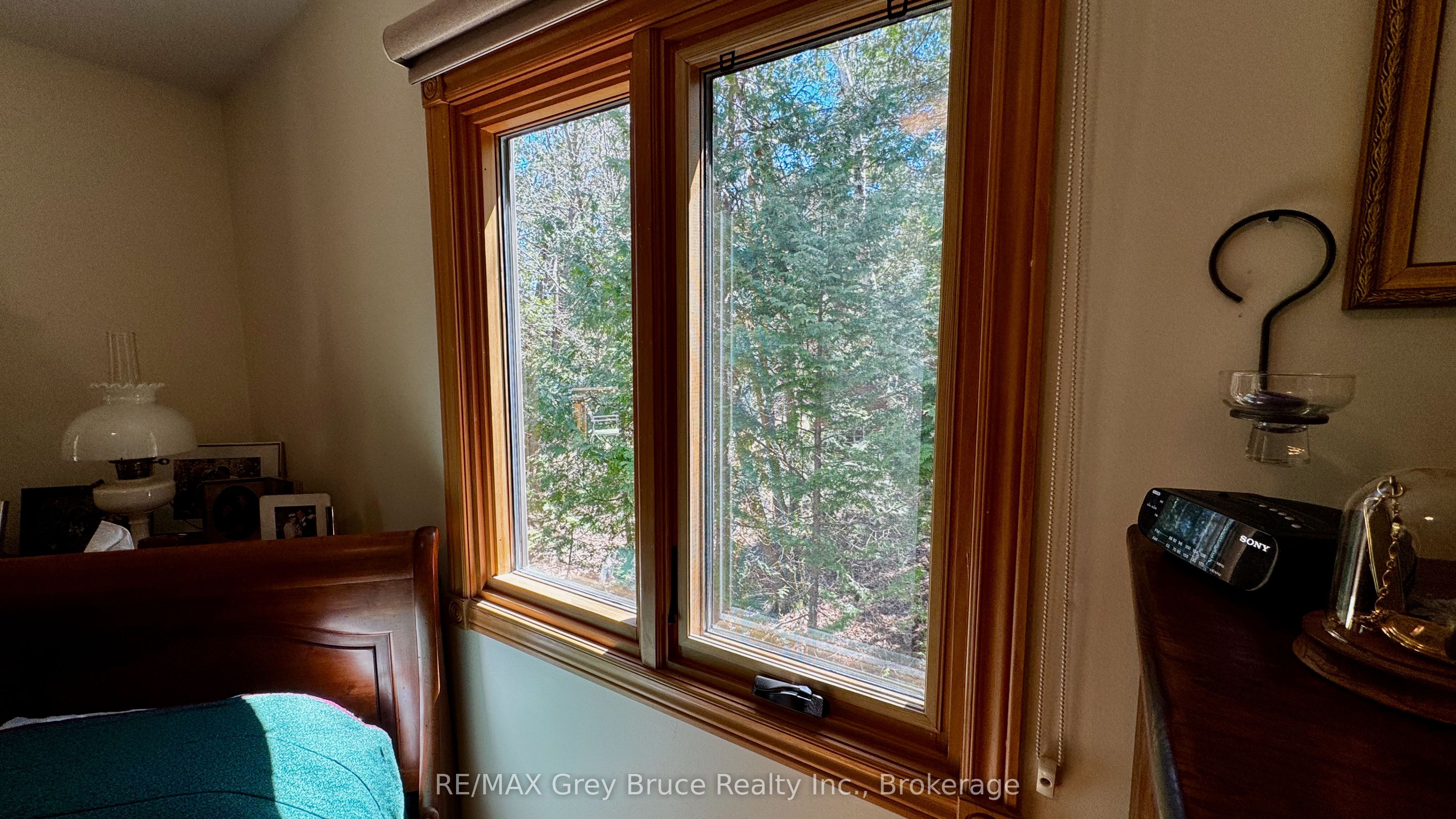54 Carter Road Property Photo 33