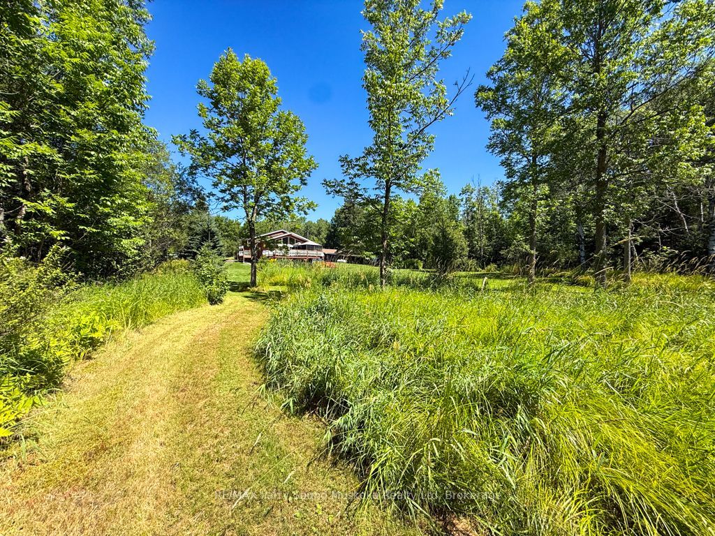 4031 Highway 520 Highway Property Photo 34