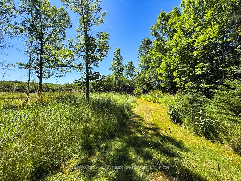 4031 Highway 520 Highway Property Photo 35