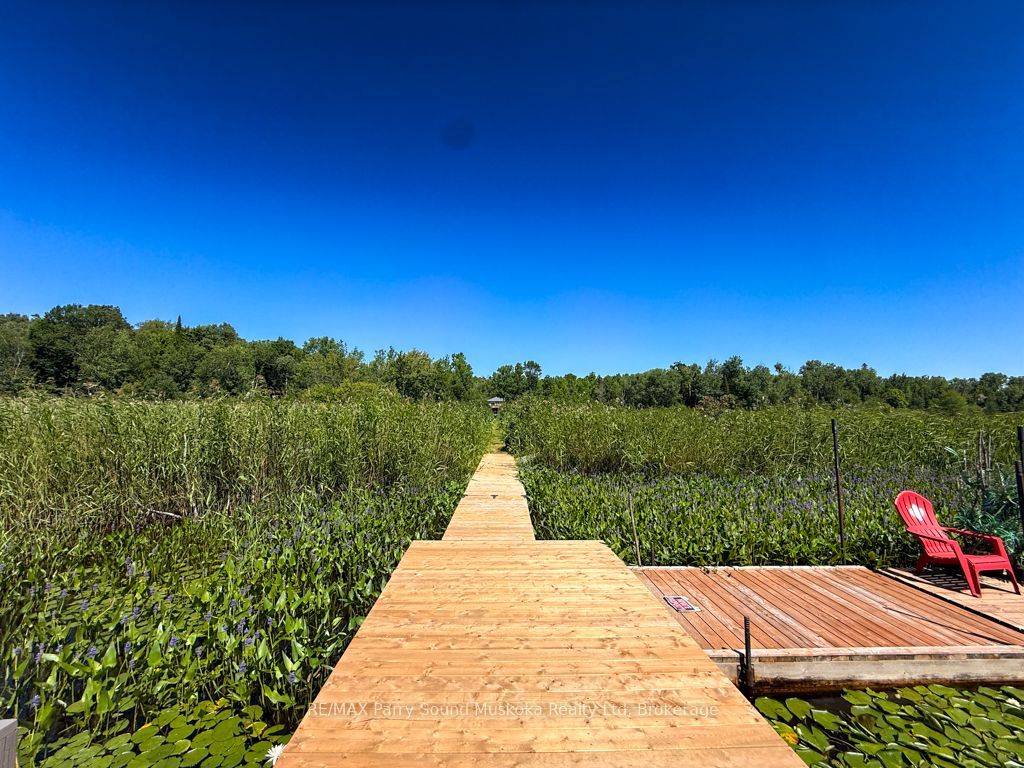 4031 Highway 520 Highway Property Photo 36