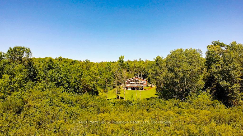 4031 Highway 520 Highway Property Photo 42