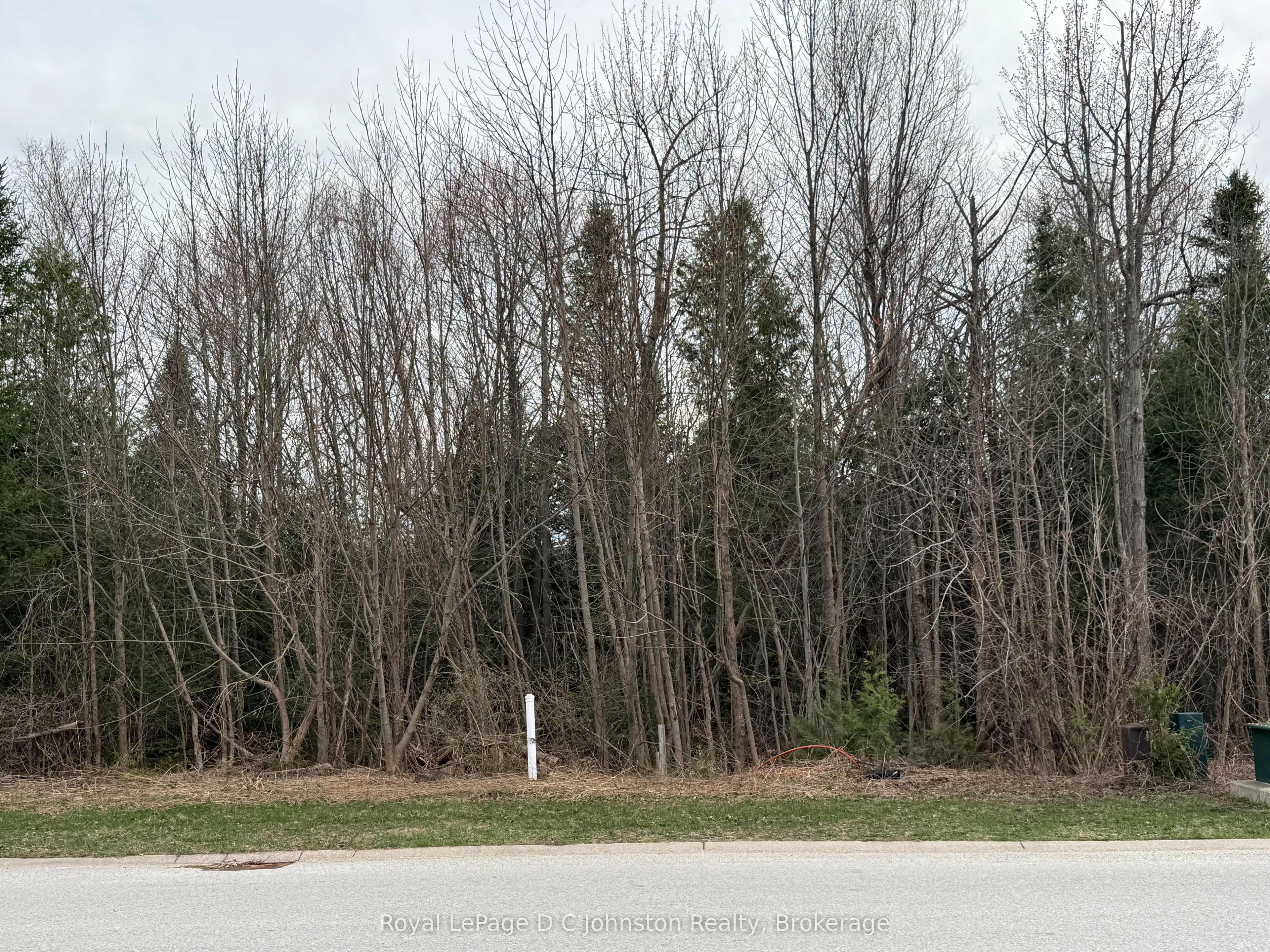 0 Emerald Drive Property Photo 5