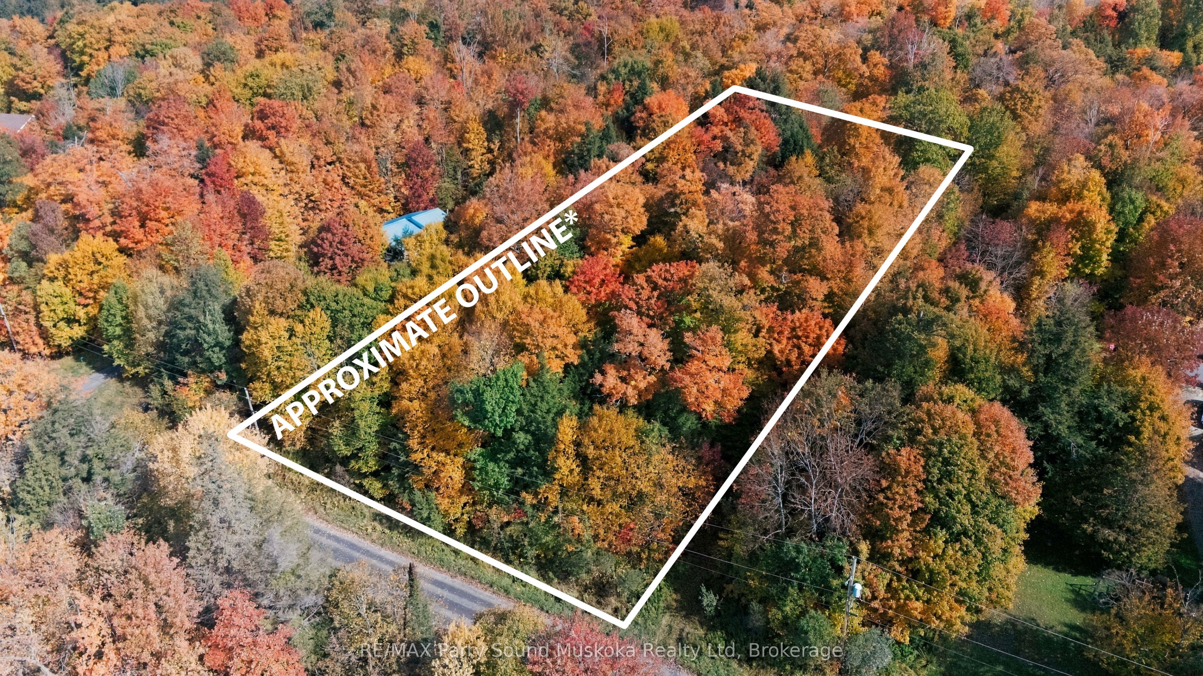 3 Maplewood Drive Property Photo 2