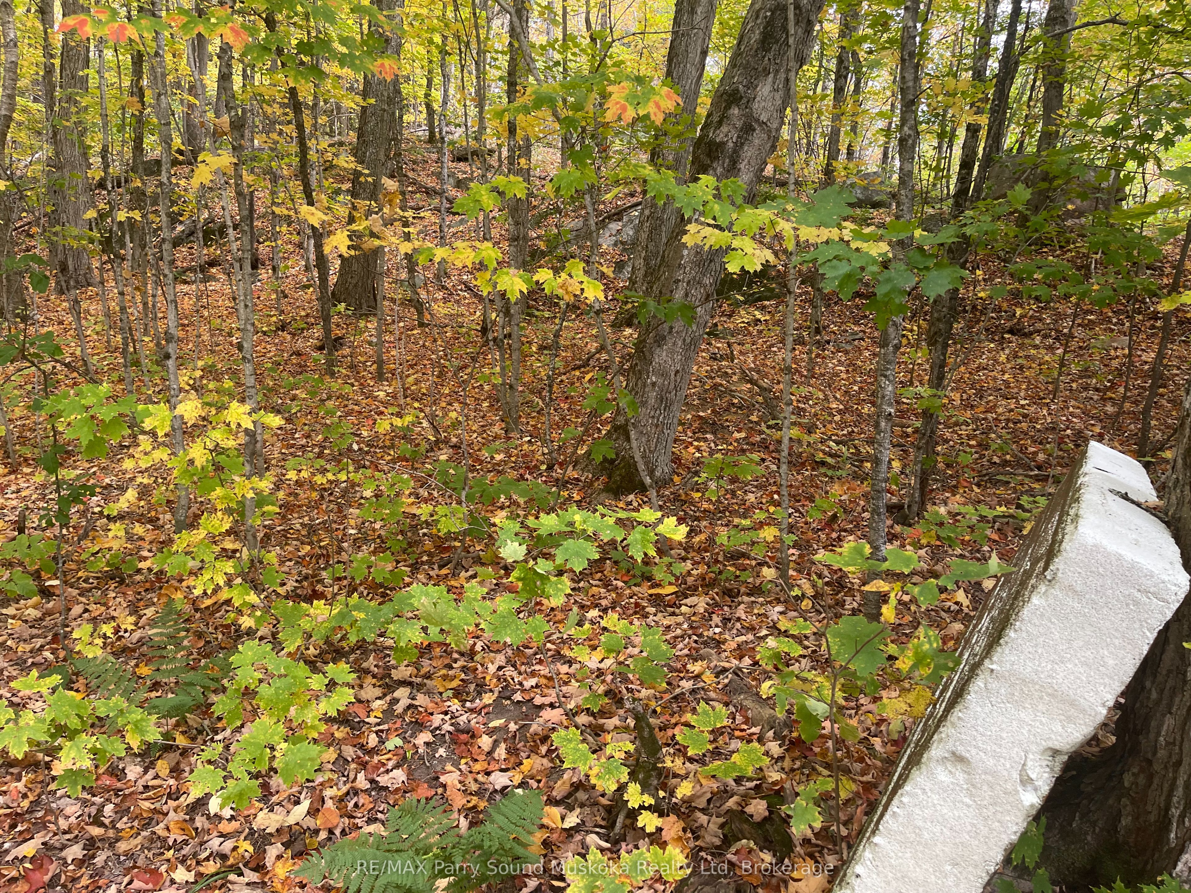 3 Maplewood Drive Property Photo 11