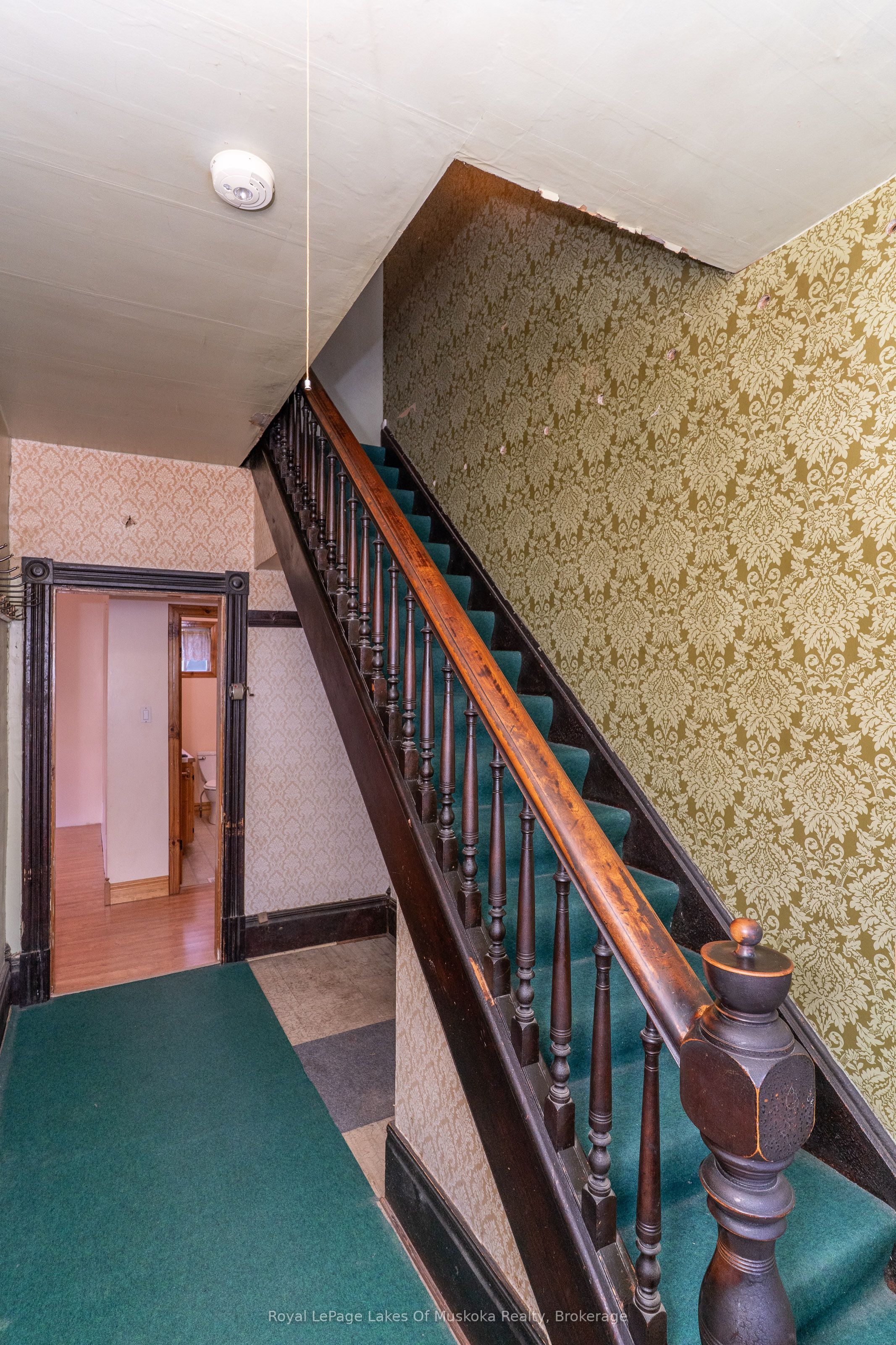 14 Ewing Street Property Photo 14