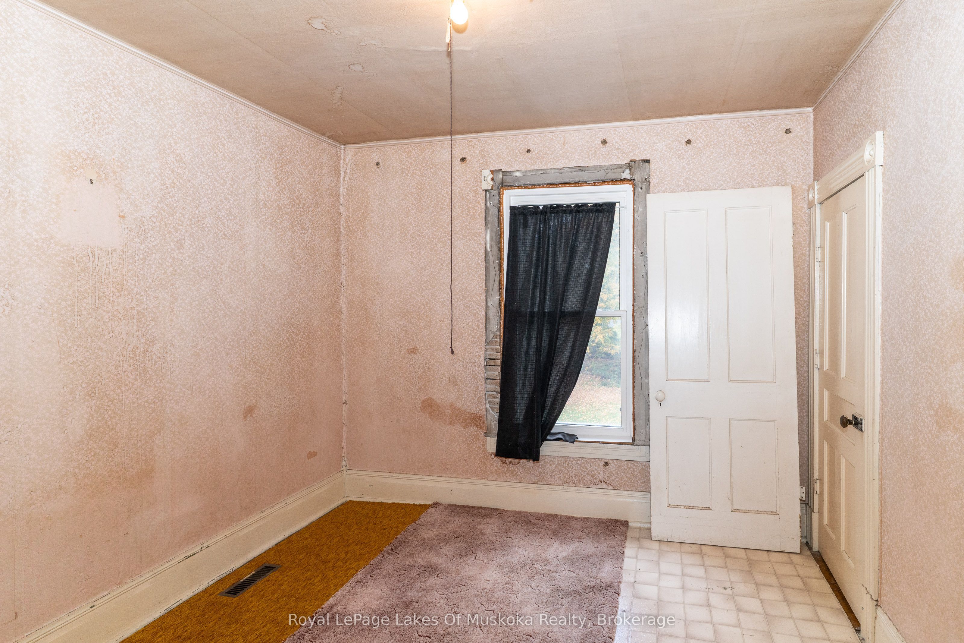 14 Ewing Street Property Photo 16