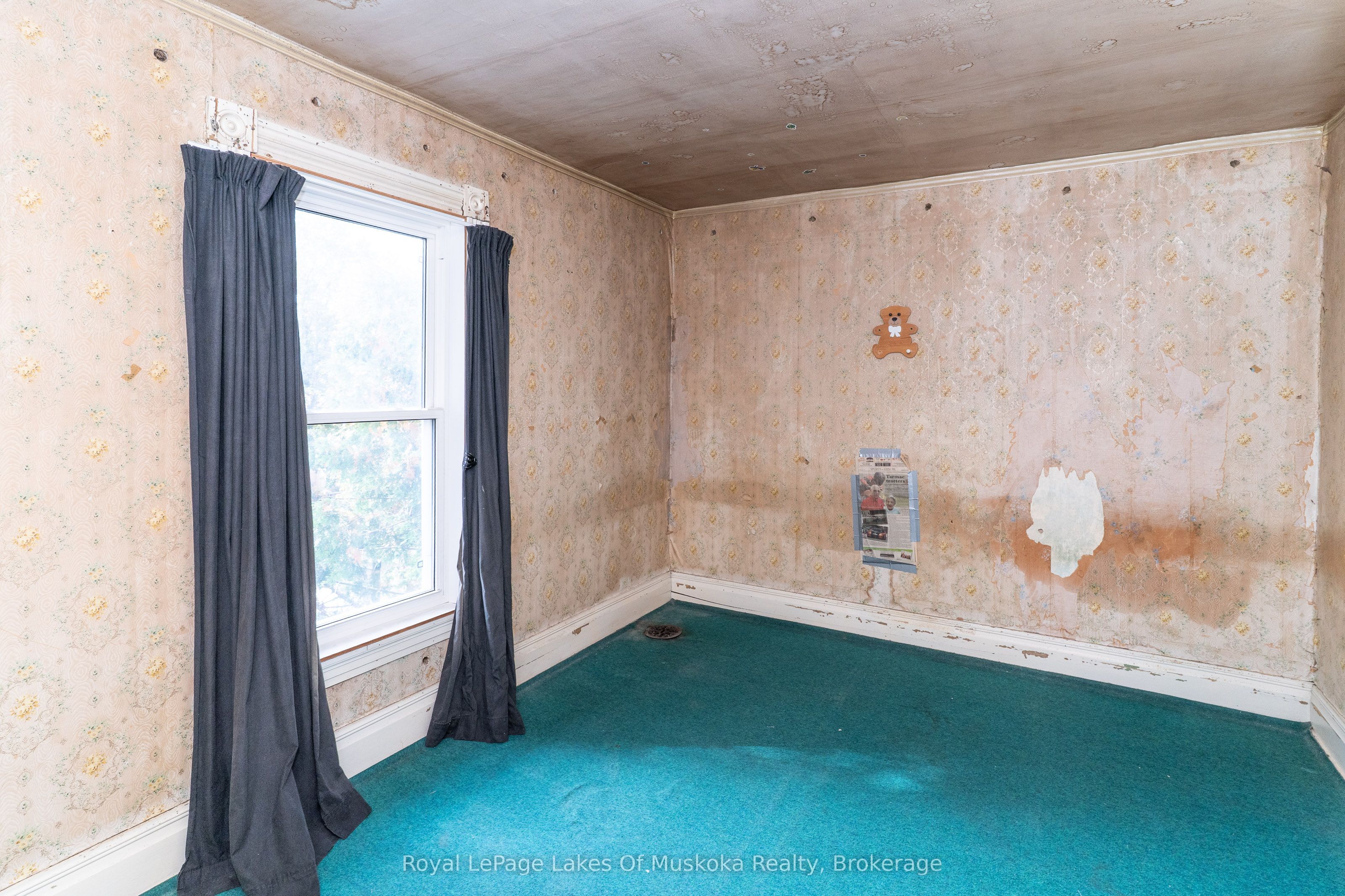 14 Ewing Street Property Photo 19