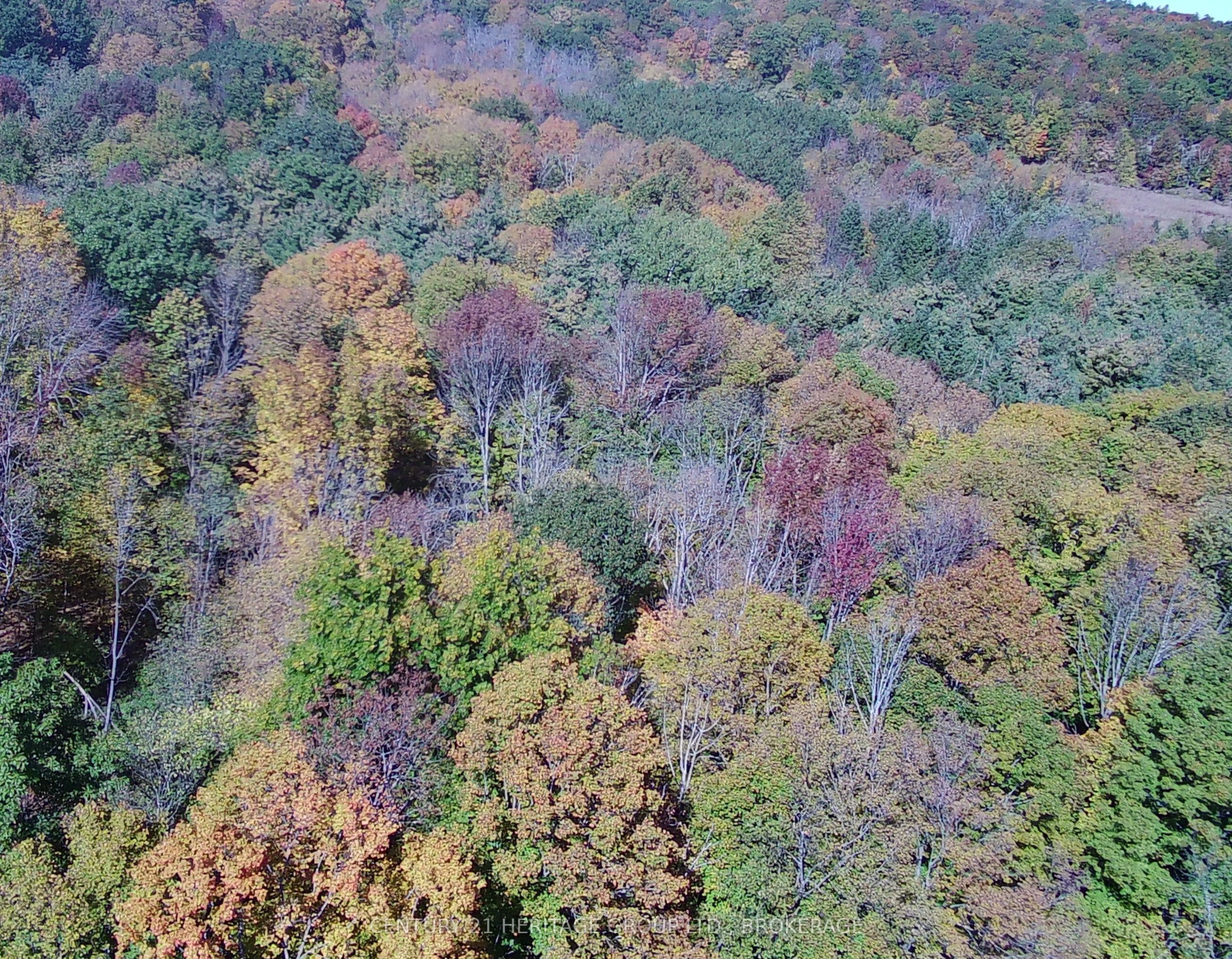 00 Burnt Hills Road Property Photo 39
